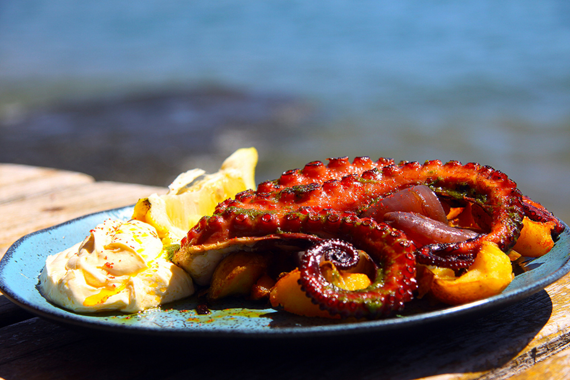Frutos do mar se destacam na gastronomia local