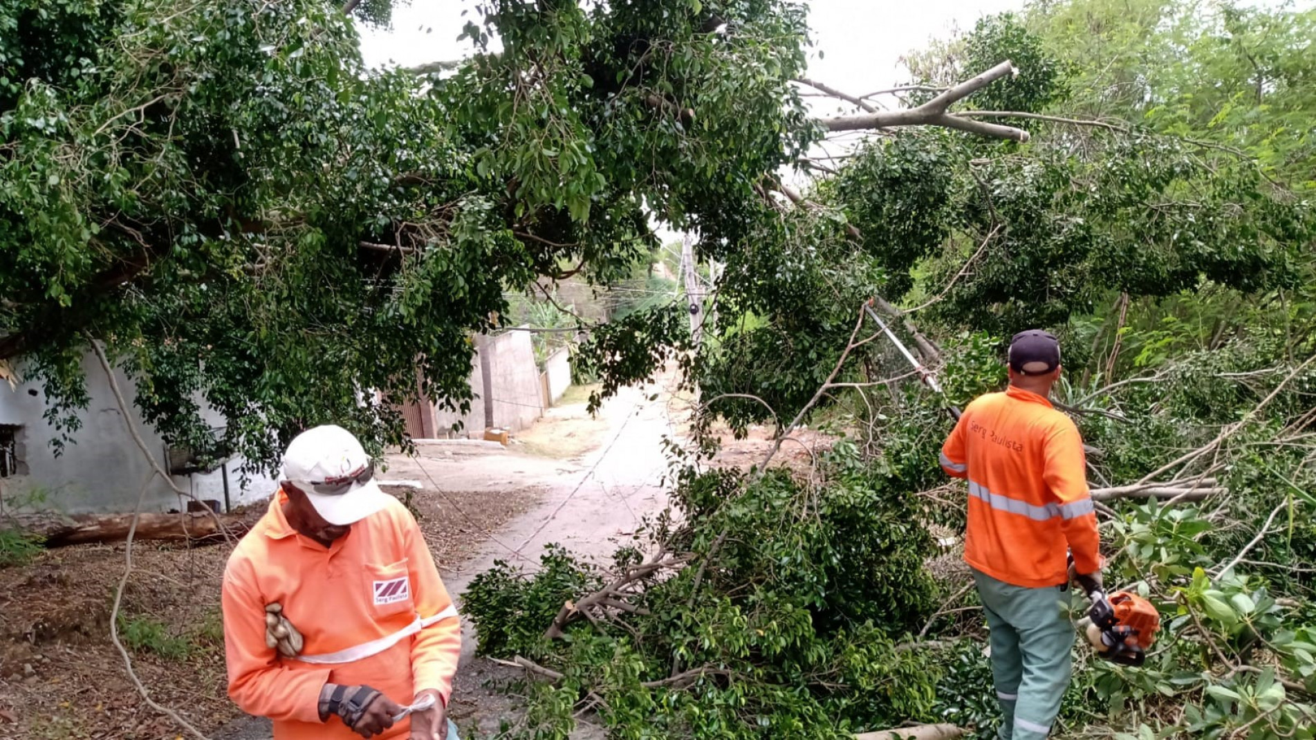 Somente no sábado (27), mais de 30 árvores caíram no município