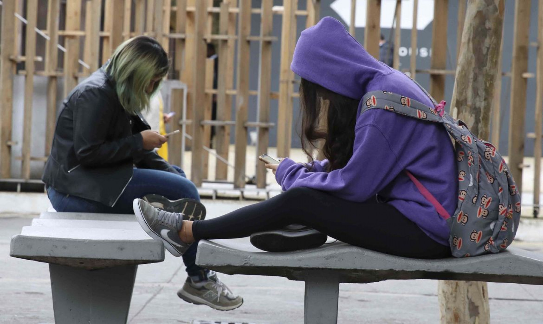 Texto também passa a classificar providências previstas como medidas preventivas, cautelares e disciplinares