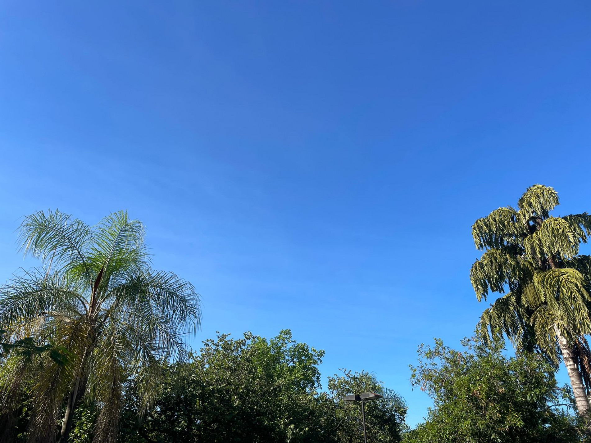 Para essa segunda-feira (5), previs&atilde;o &eacute; de sol e c&eacute;u sem nuvens durante a manh&atilde;, com pancadas de chuva &agrave; tarde e &agrave; noite 