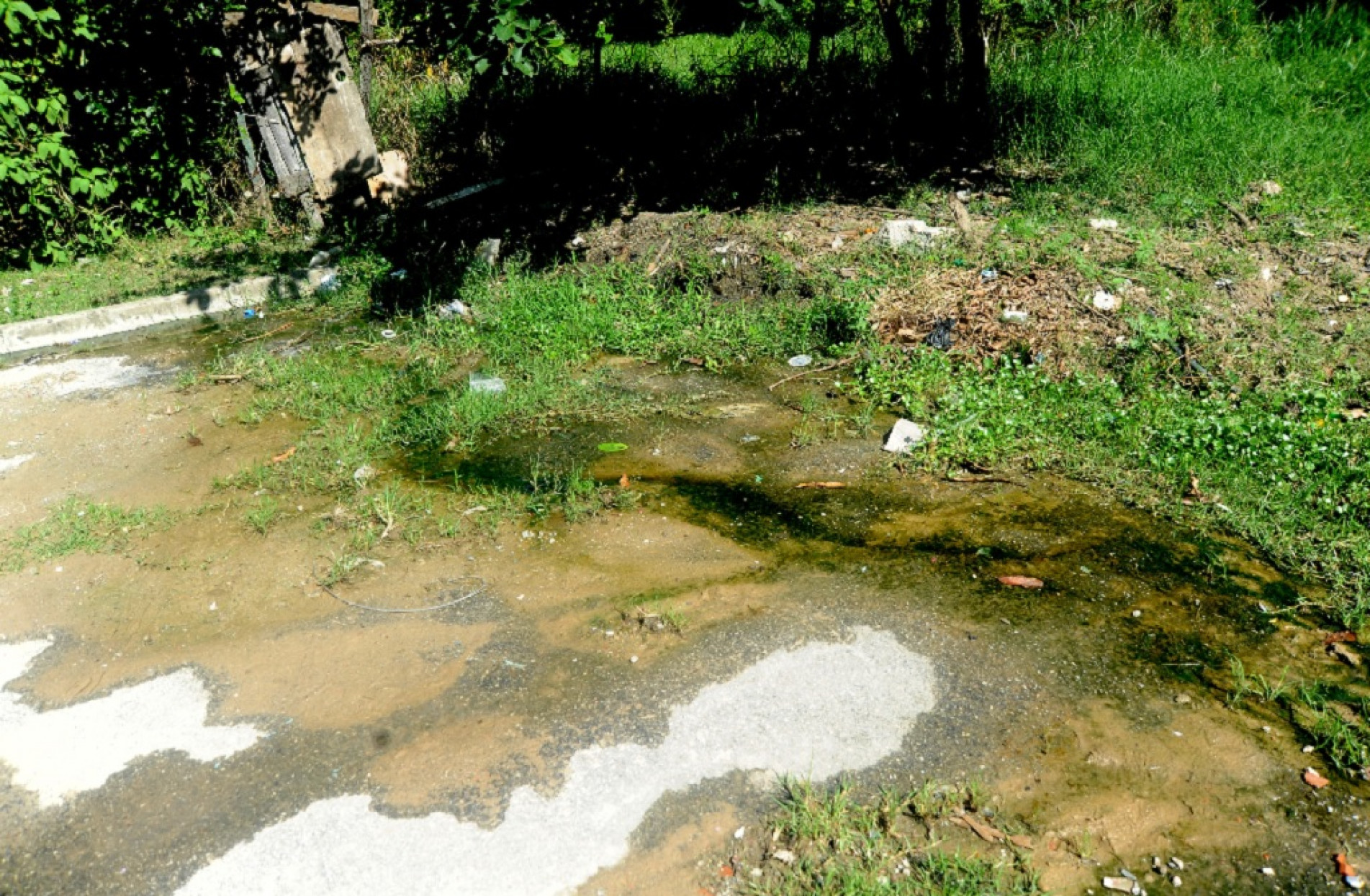 Locais com água parada se tornam facilmente criadouros para o mosquito da dengue