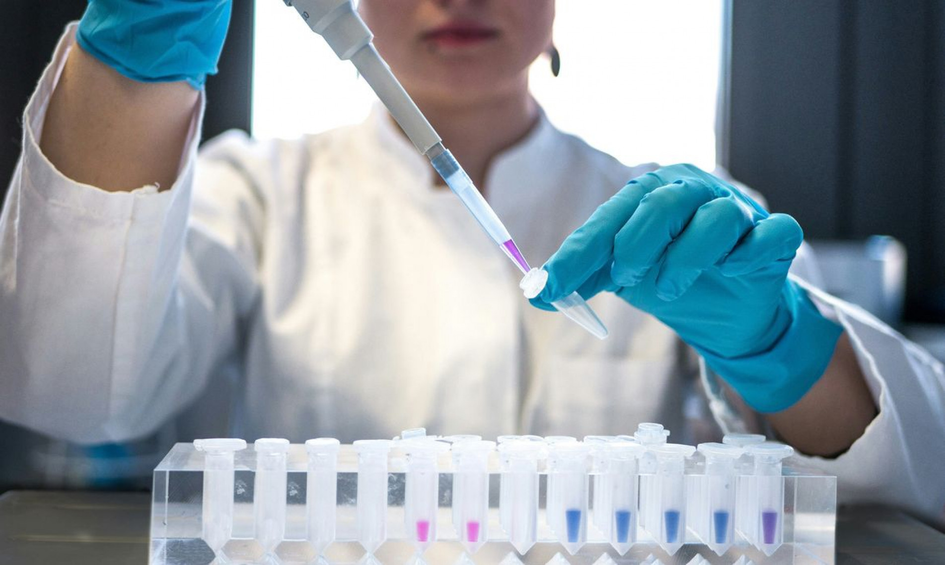 Brasil é o terceiro colocado na participação feminina na ciência