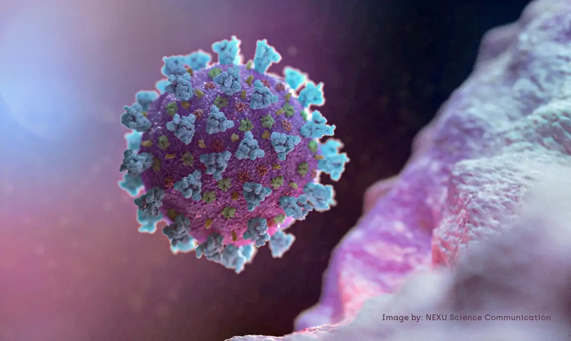 Pesquisa avalia sequelas da covid-19 na população brasileira