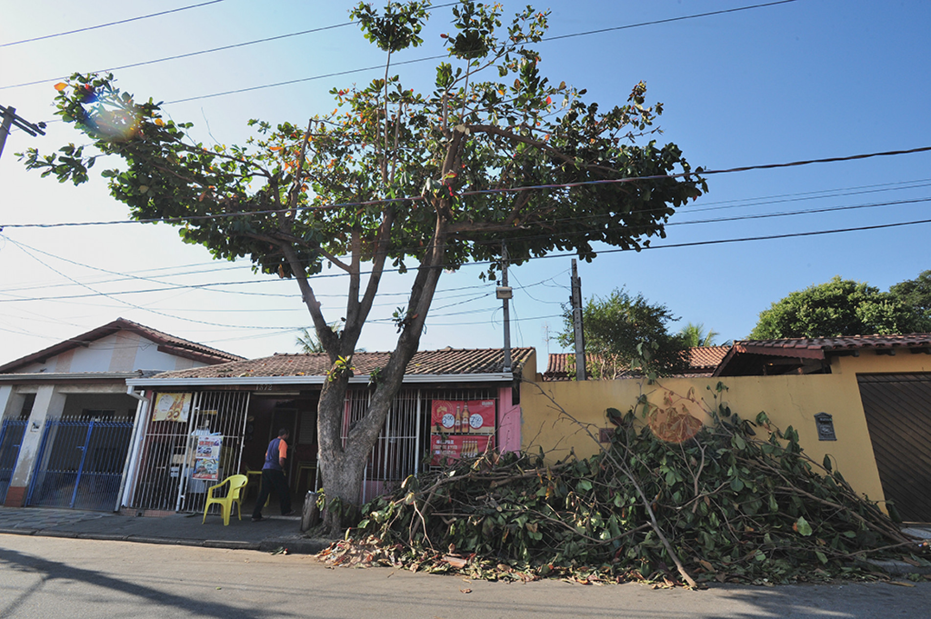 Dos 210 pedidos apresentados à Sema neste ano, 87 foram atendidos
