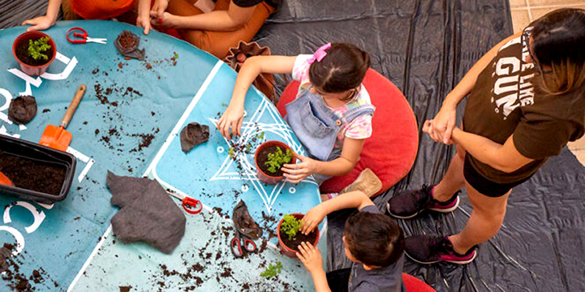 Curiosidades e dicas sobre cultivo serão ensinadas aos participantes