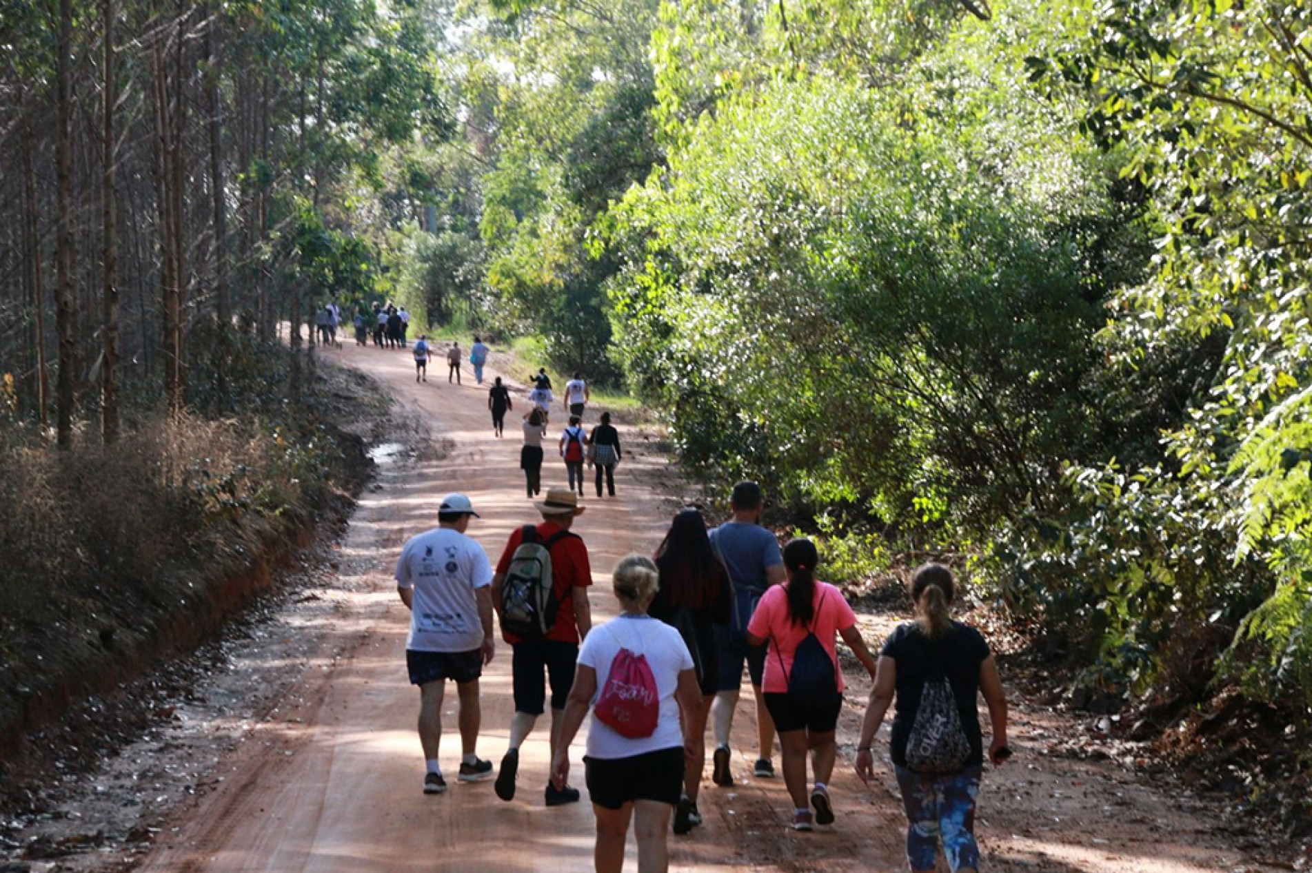 Participantes irão caminhar com destino à Serra de São Francisco
