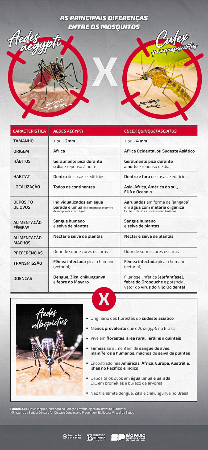Veja as diferenças entre Aedes e pernilongo