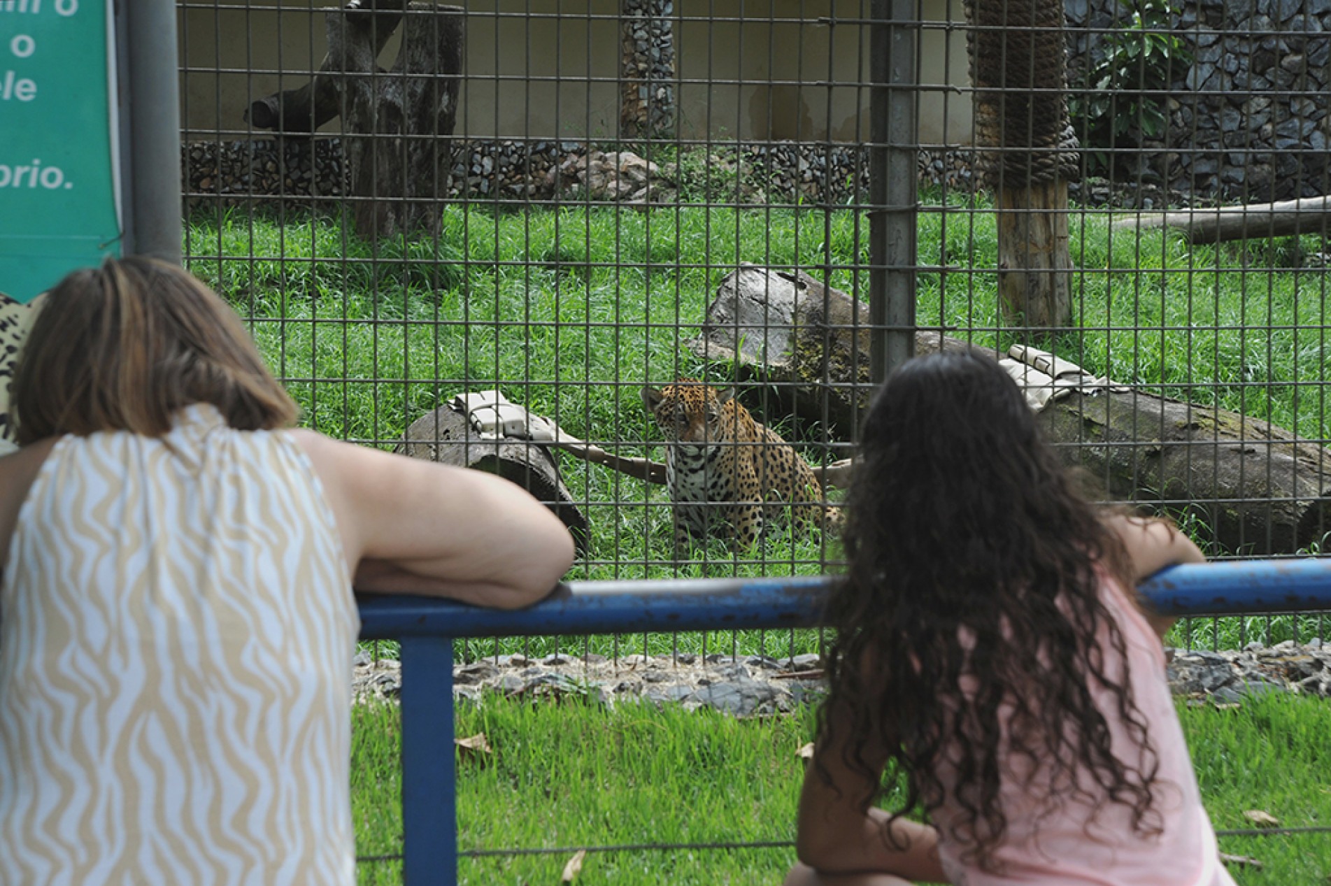 O objetivo da semana é chamar a atenção das pessoas para a importância de incluir, cada vez, mais ações sustentáveis no dia a dia
