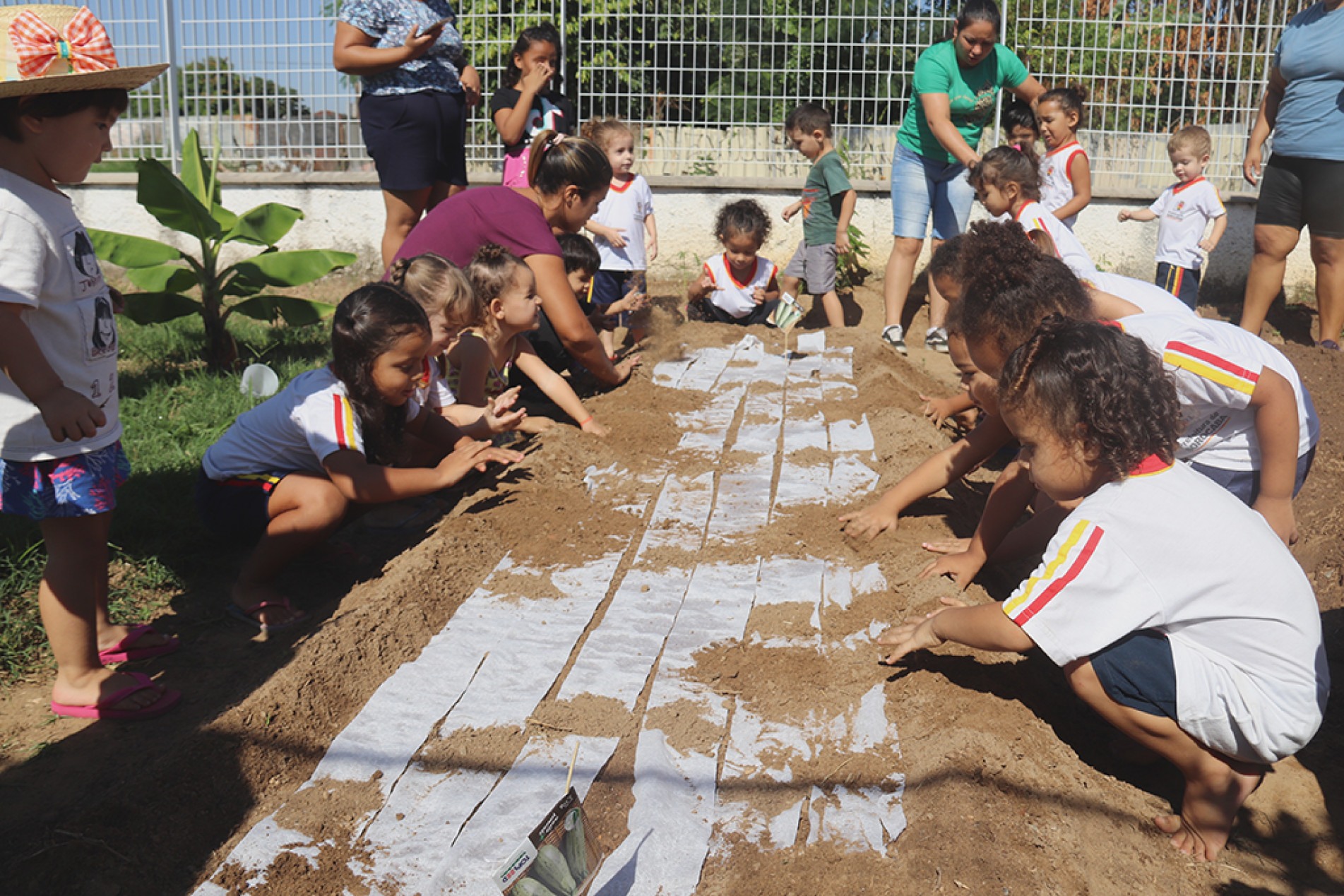 Os alunos participam de todas as etapas que envolvem o plantio e cultivo da horta
