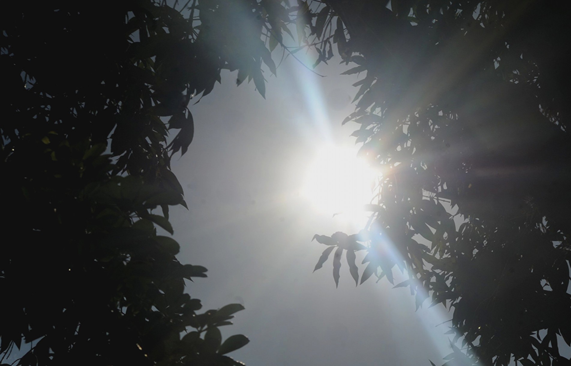 Previs&atilde;o do tempo para esta semana vai ser de muito calor 
