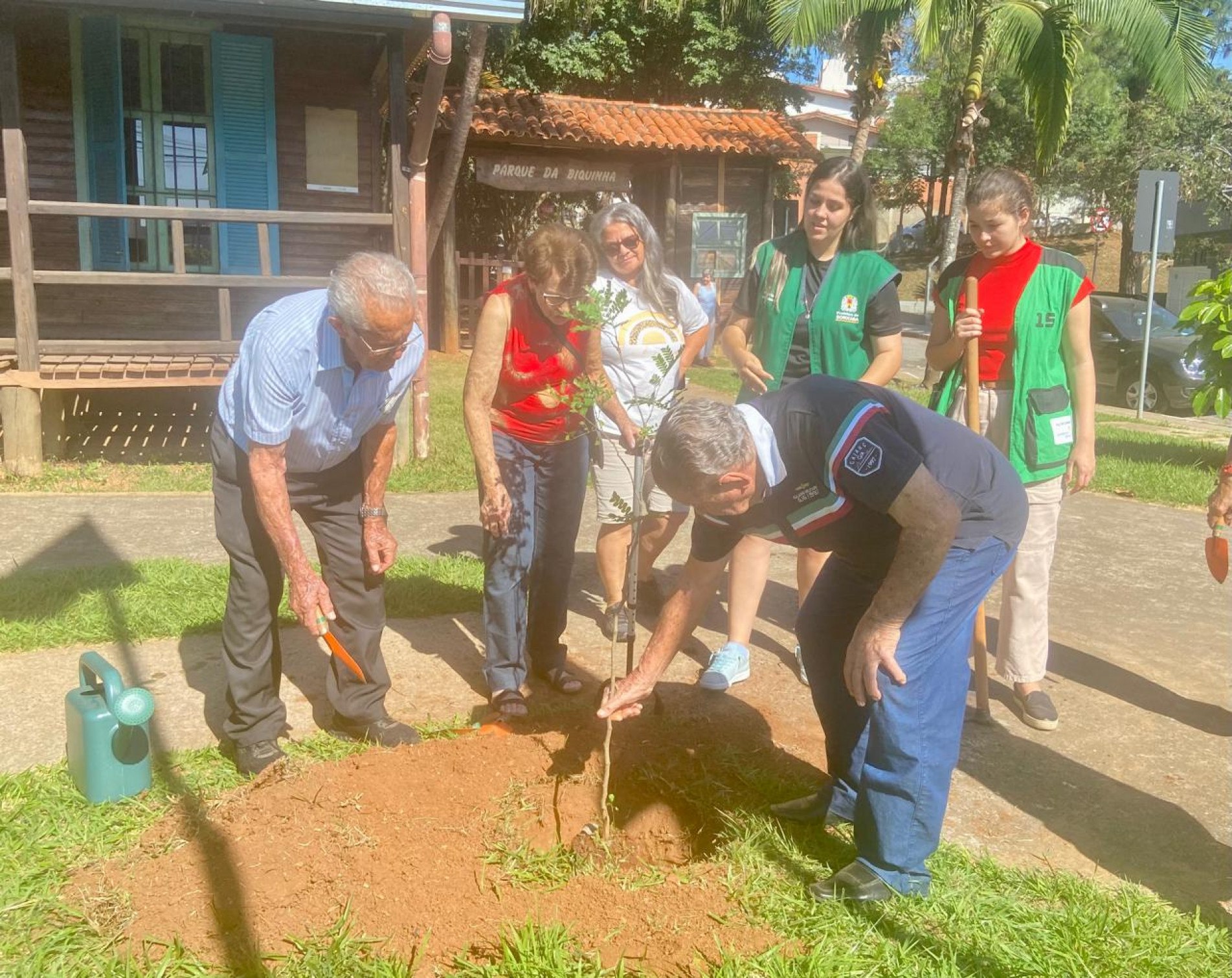 O Dia do Pau-Brasil faz parte do calendário oficial de datas alusivas ao Meio Ambiente
