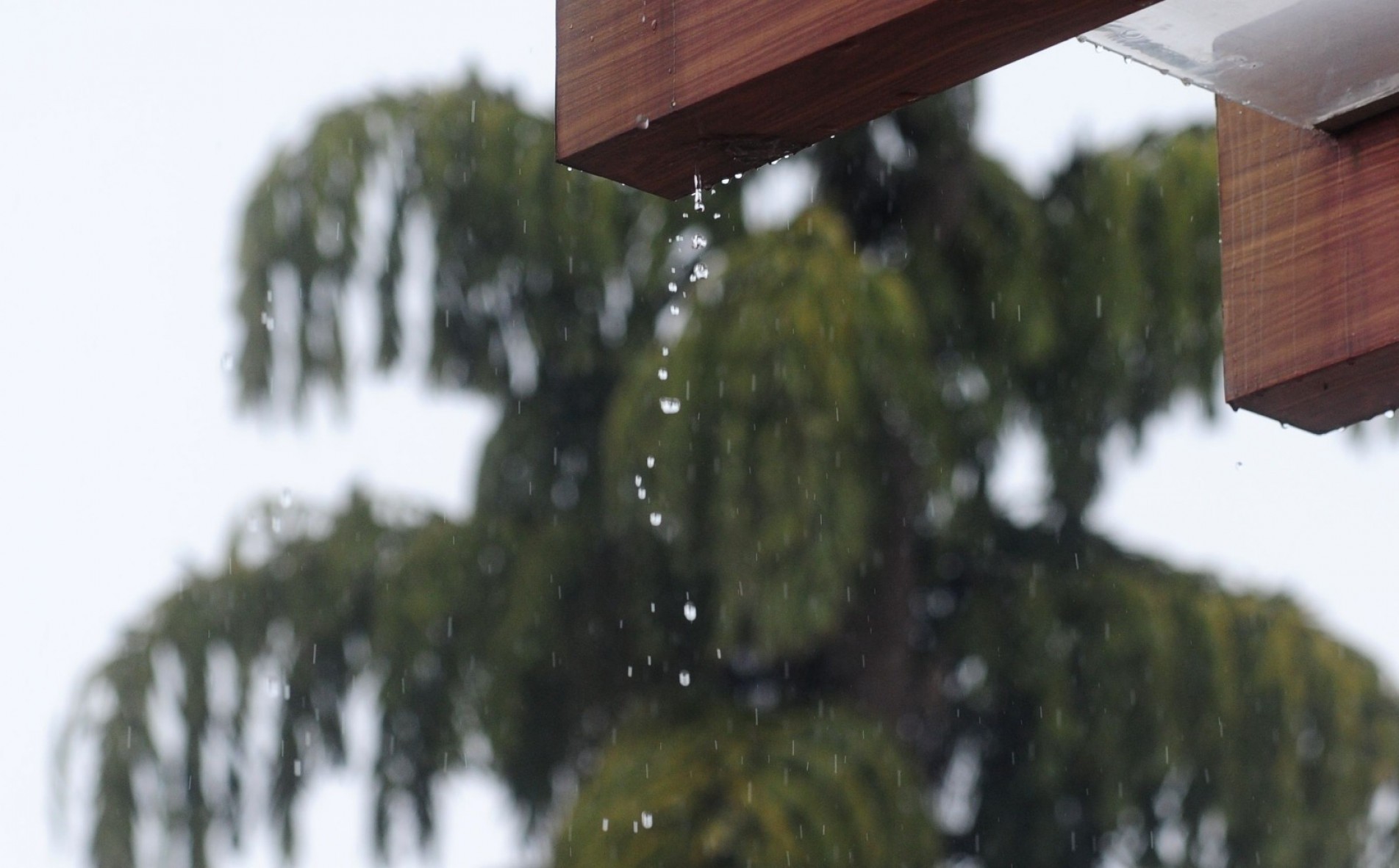 Frio continua durante a semana