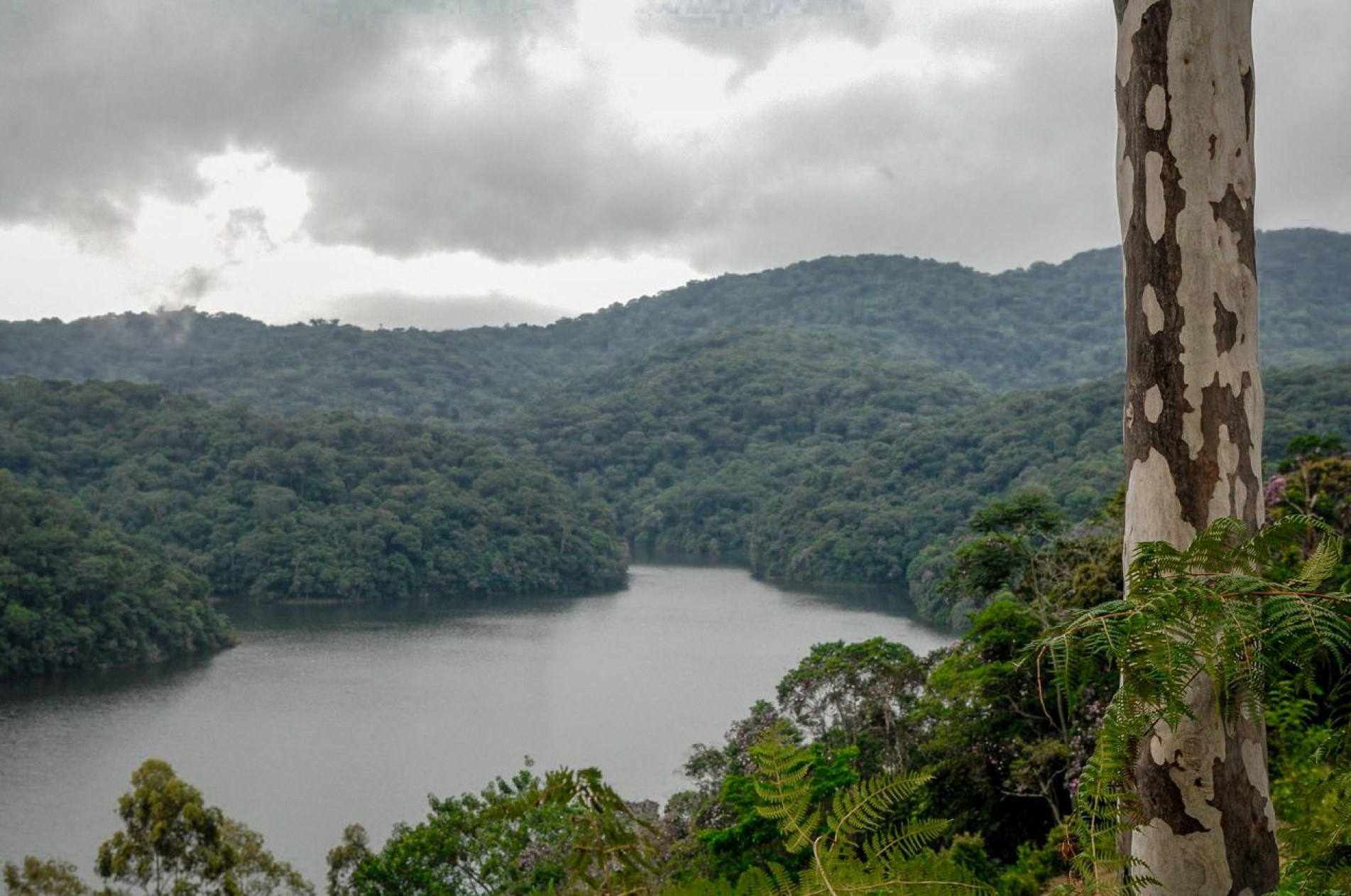 
O projeto vai promover o turismo sustentável e tem grande potencial econômico.