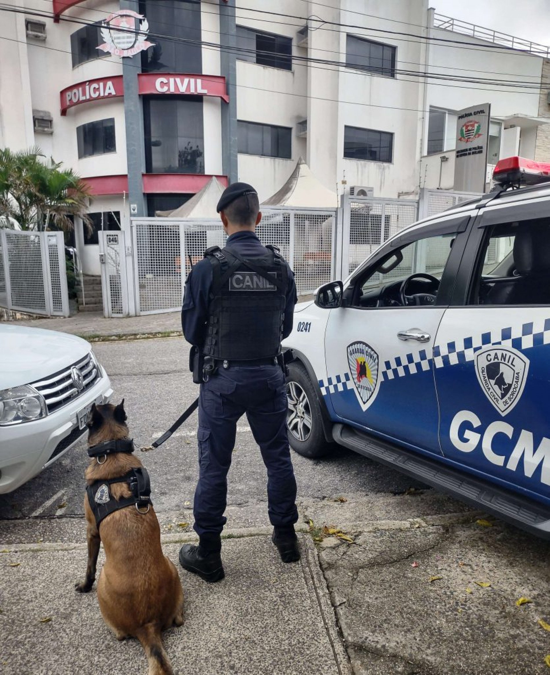 A tia do suspeito acionou a GCM pelo aplicativo 