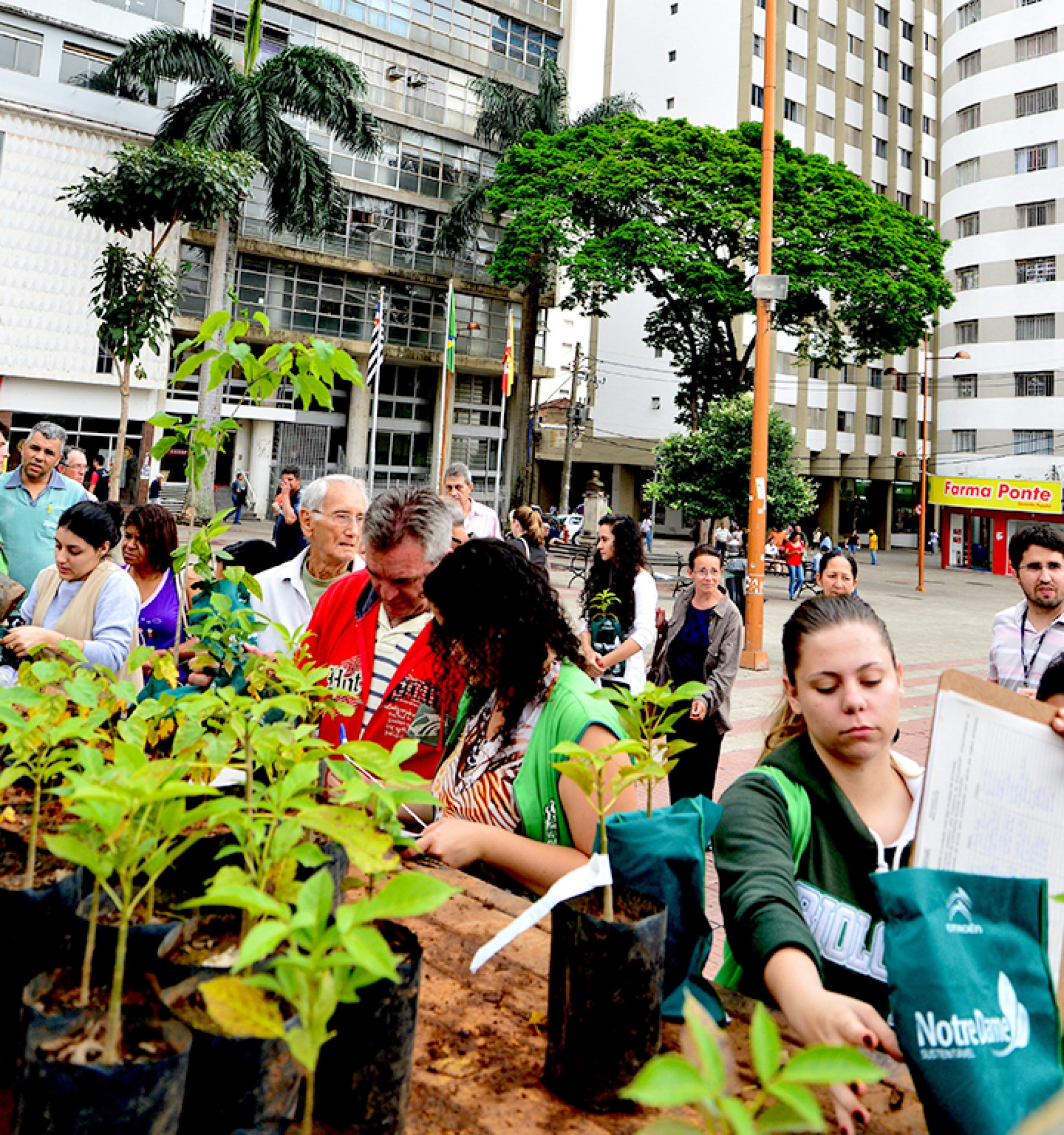 A doação de mudas é uma das atividades previstas durante o evento
