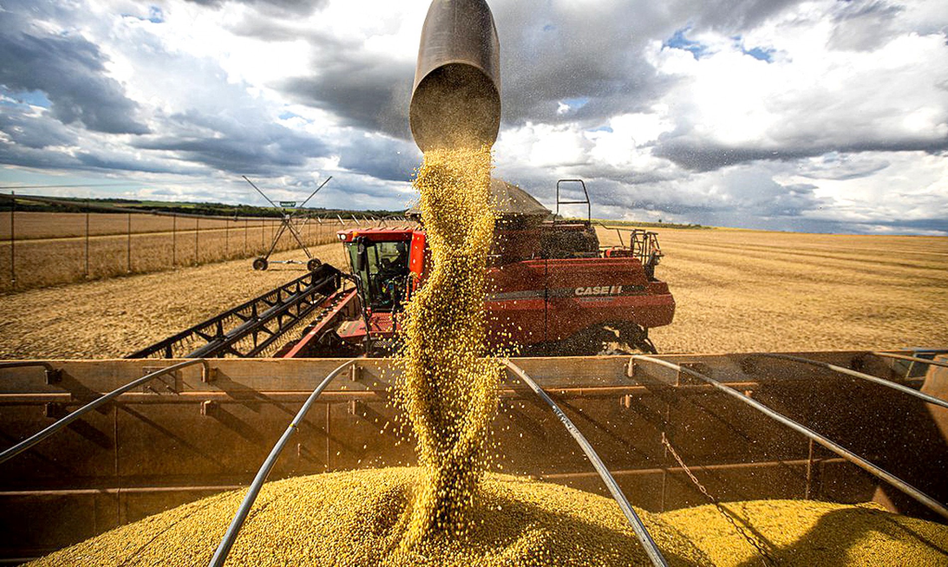 PIB do agro cresceu 11,3% ante o 4º trimestre de 2023
