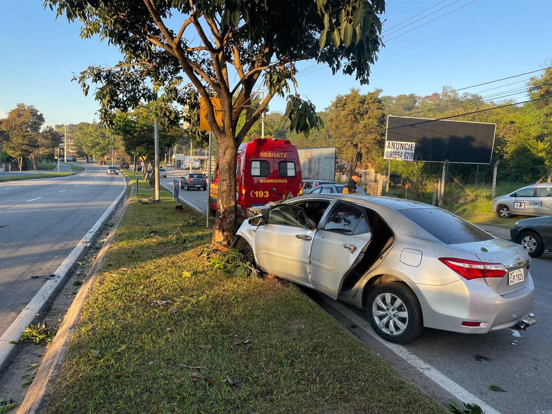 O carro bateu numa árvore no canteiro central
