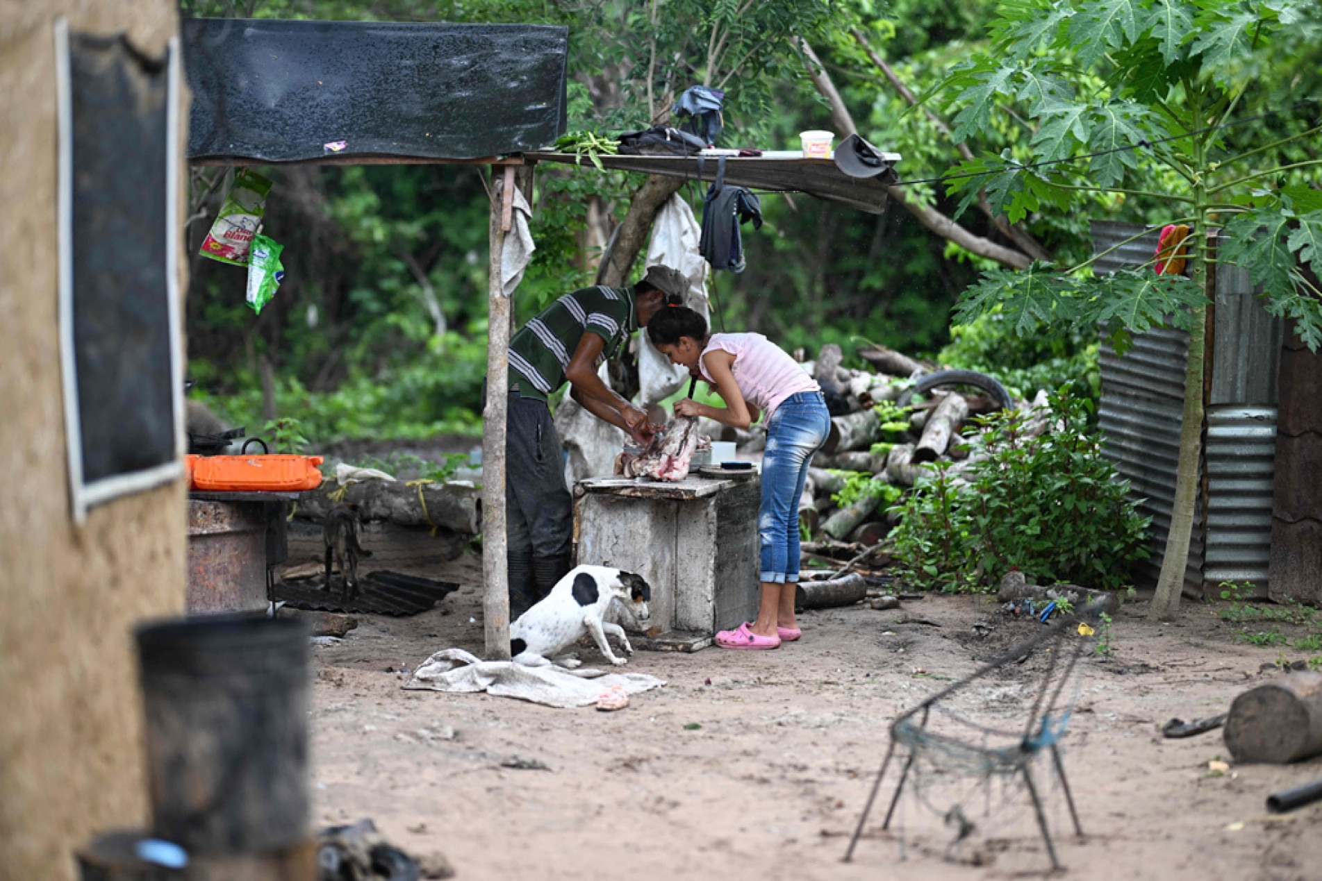 Seis milhões de venezuelanos deixaram o país em 2023; parte deles foi para o Brasil