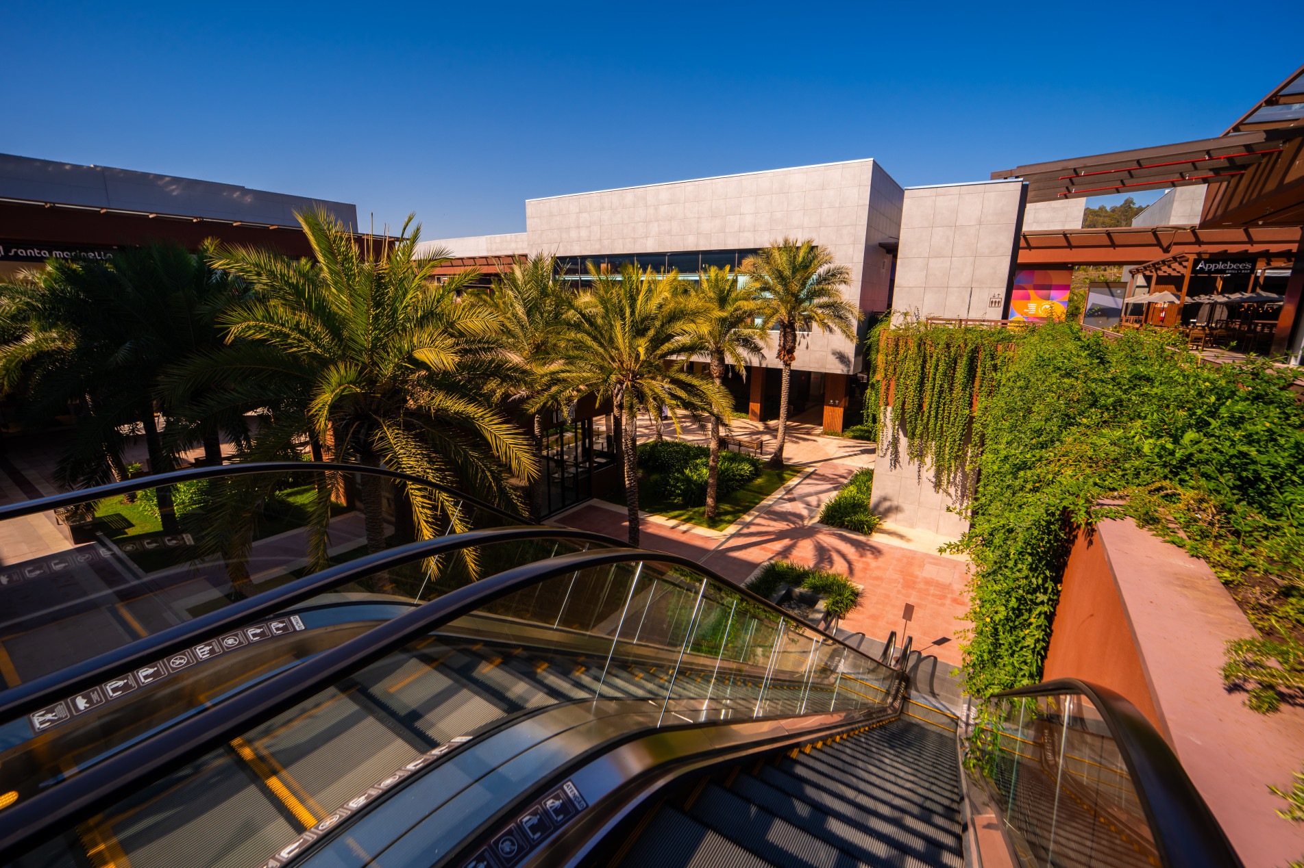 Durante três dias, muitas atrações e serviços para os pets e tutores 