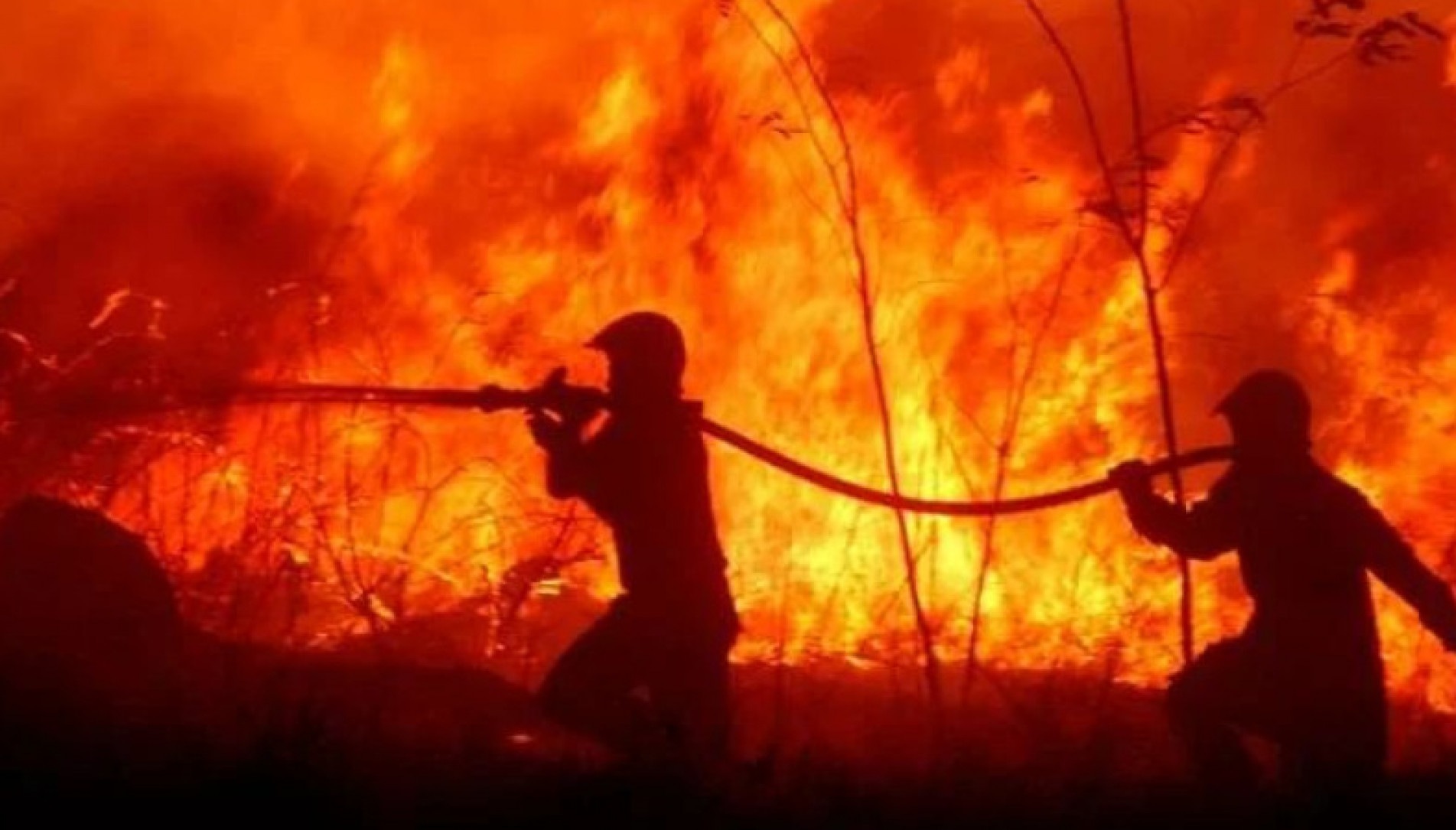 O tempo seco contribui para as queimadas, principalmente em área de mata