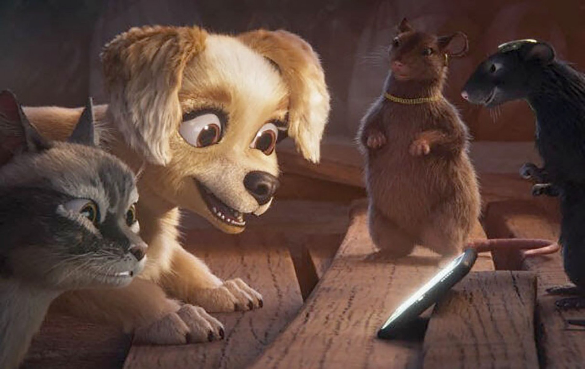 A cachorrinha Graciee e o gato Pedro encaram muitas aventuras
