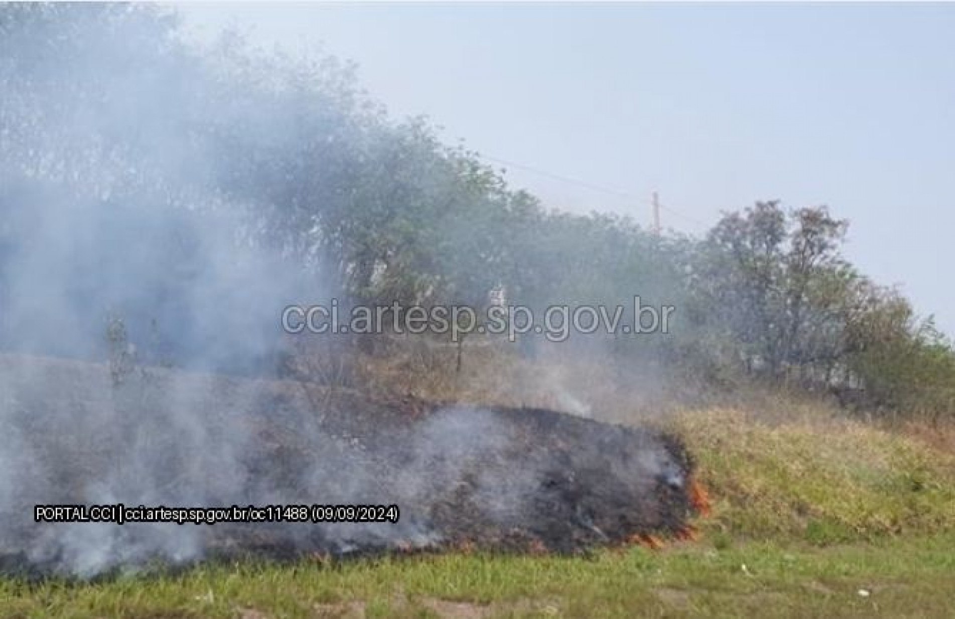 O fogo atingiu o canteiro lateral