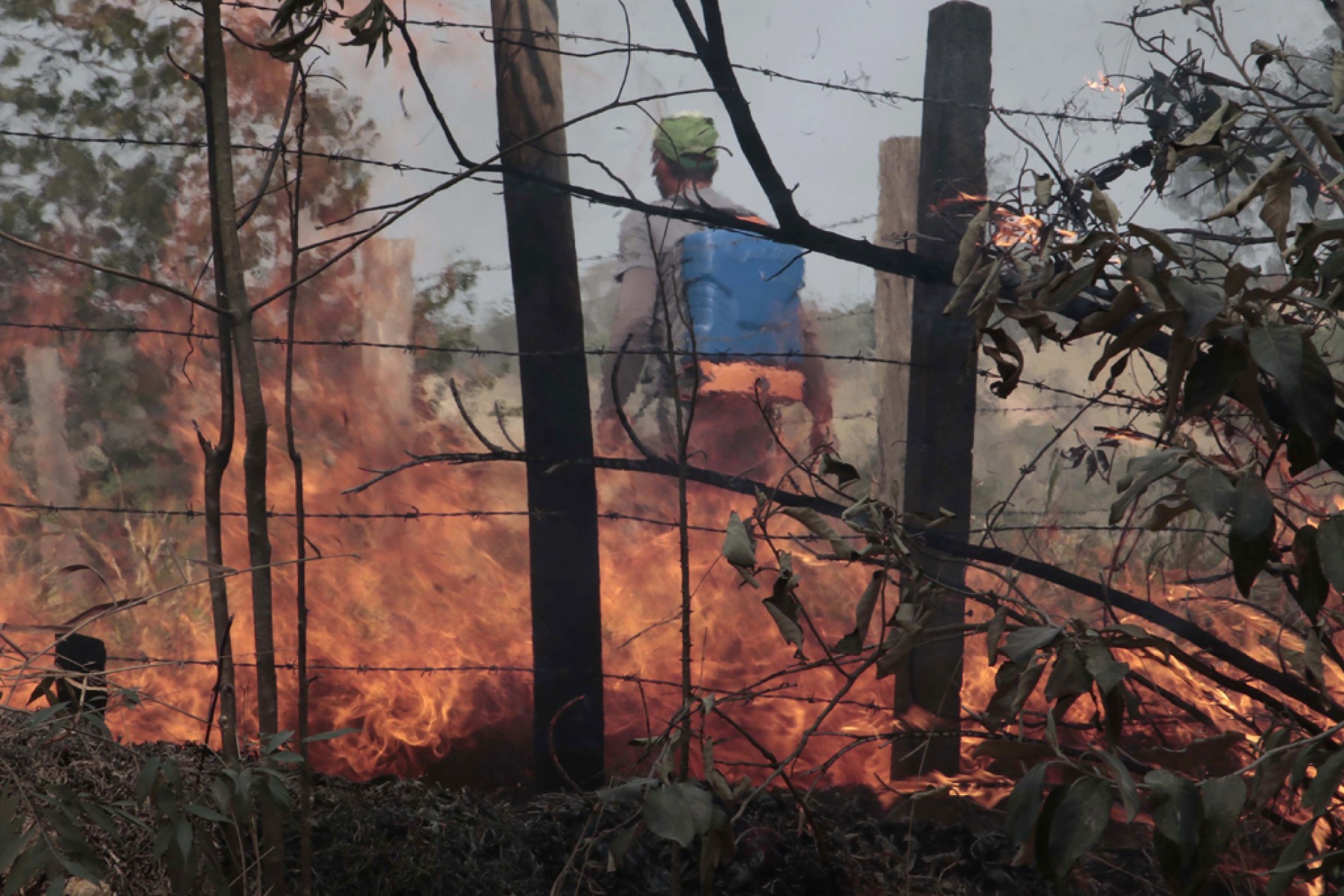 Incêndios na vegetação estão sendo frequentes em todo o País
