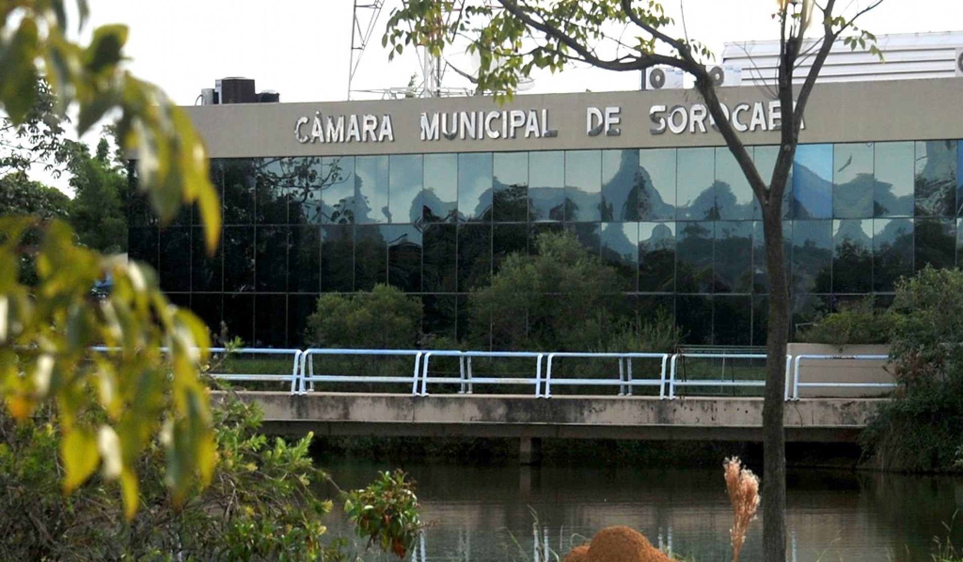 Projeto sobre acorrentar animais domésticos foi retirado de pauta