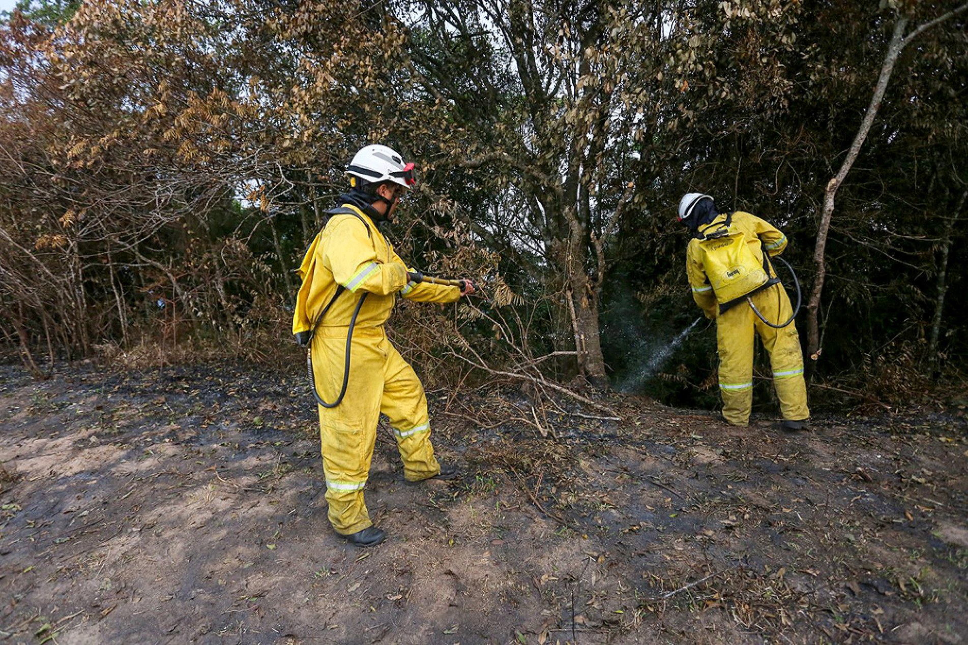 Equipes das unidades de conservação estão focados no monitoramento e combate a incêndios
