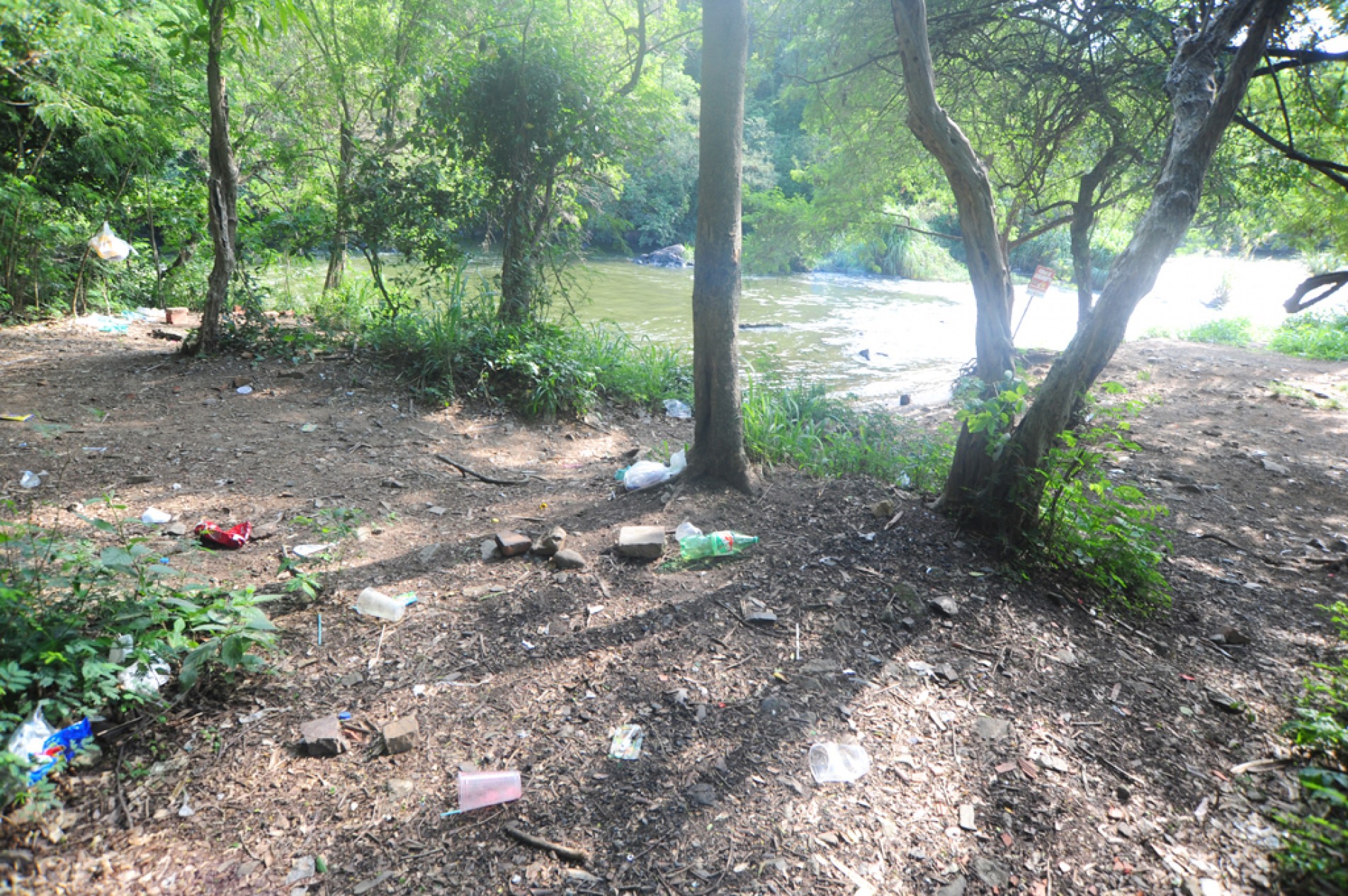Plásticos podem demorar mais de 100 anos para se decompor na natureza
