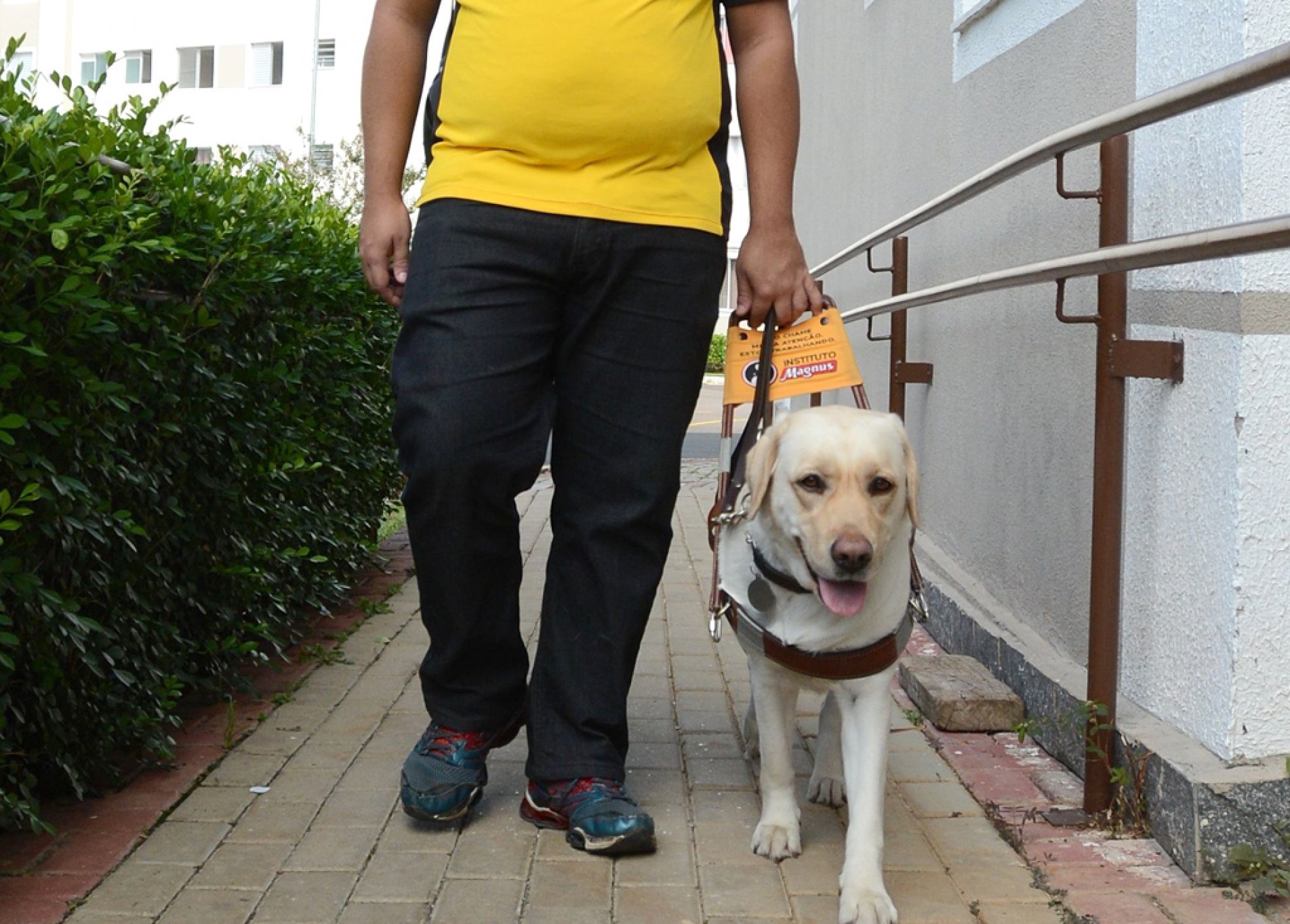 Proposta sobre utilização de cães-guia já fazia parte de lei municipal de 2007
