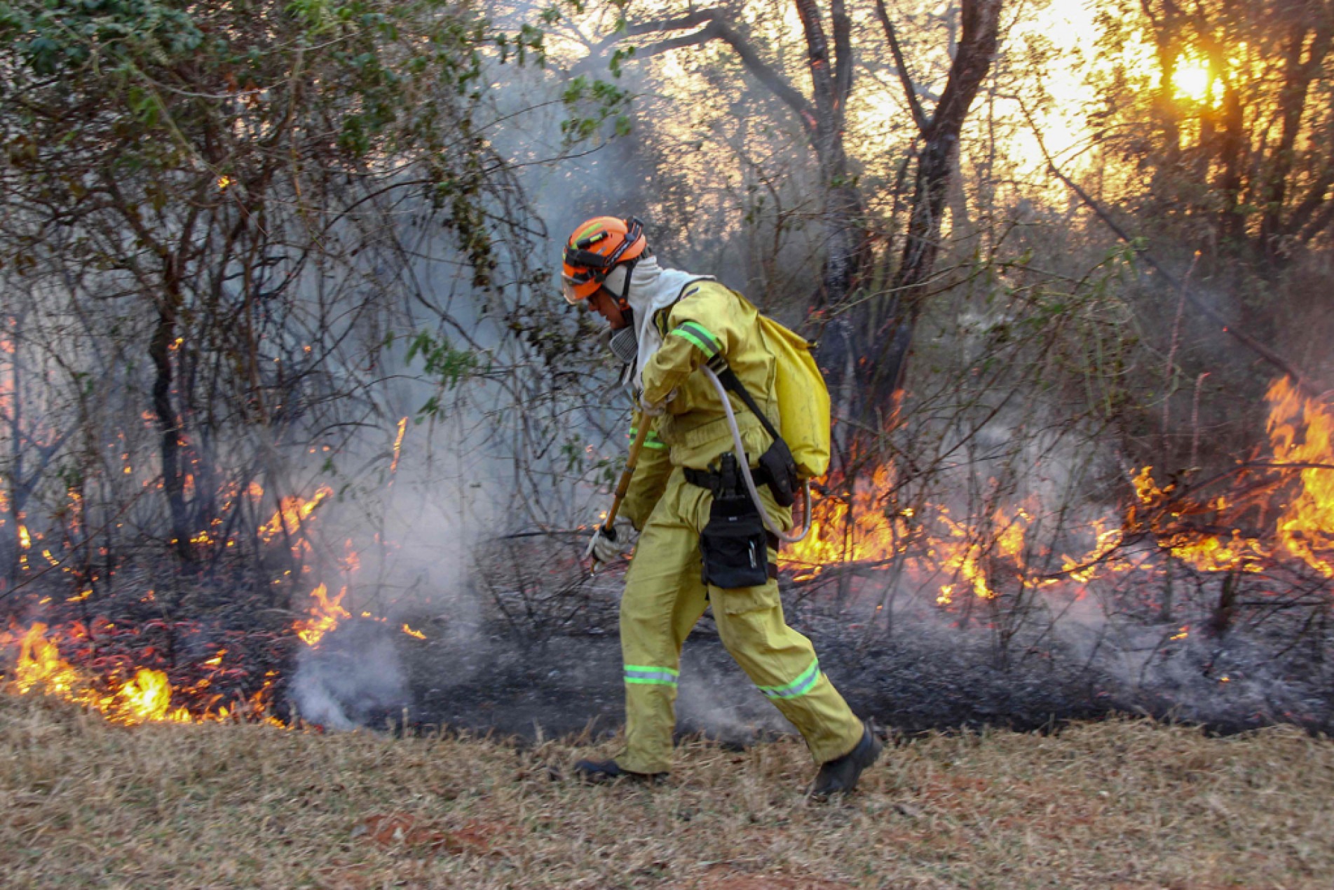 Flávio Dino autorizou crédito extra para combater incêndios
