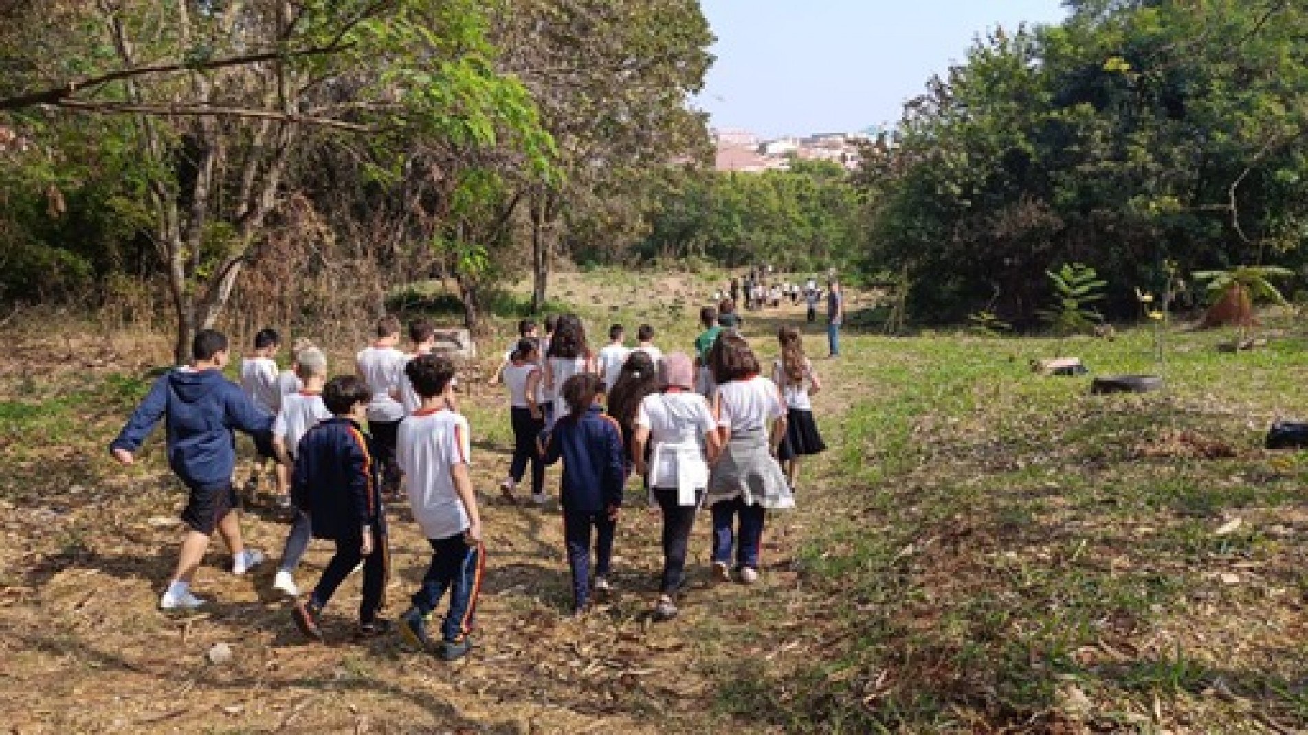 O Dia da Árvore é celebrado dia 21 de setembro