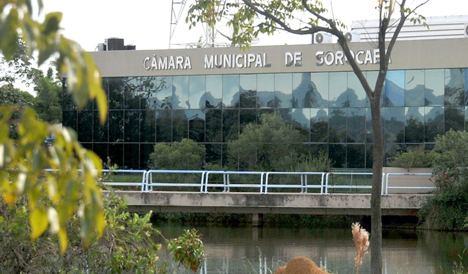 Os vereadores também analisam proposta de adesivo de mobilidade em ônibus da cidade
