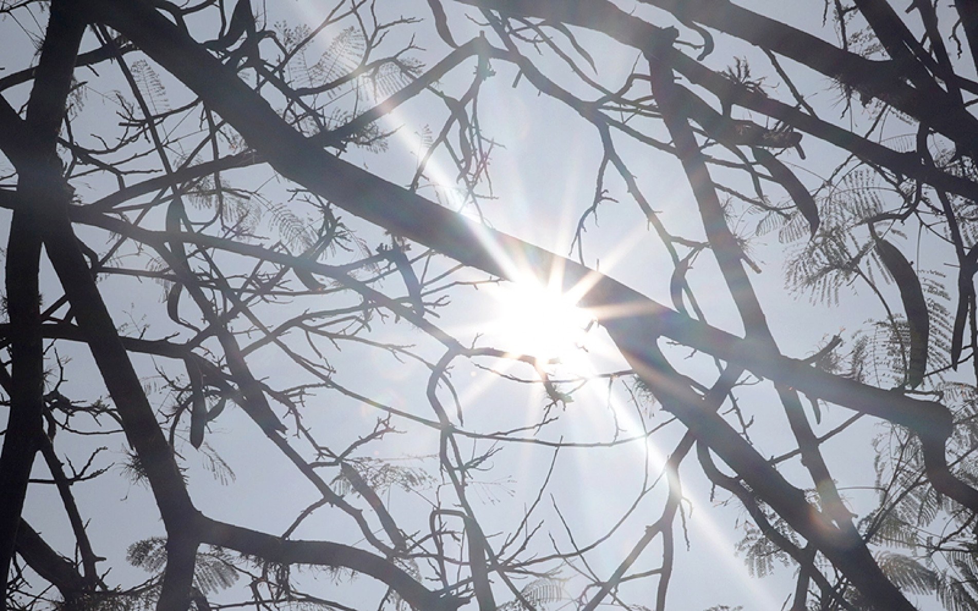 Temperaturas máximas devem ficar entre 35ºC e 36ºC nesta semana