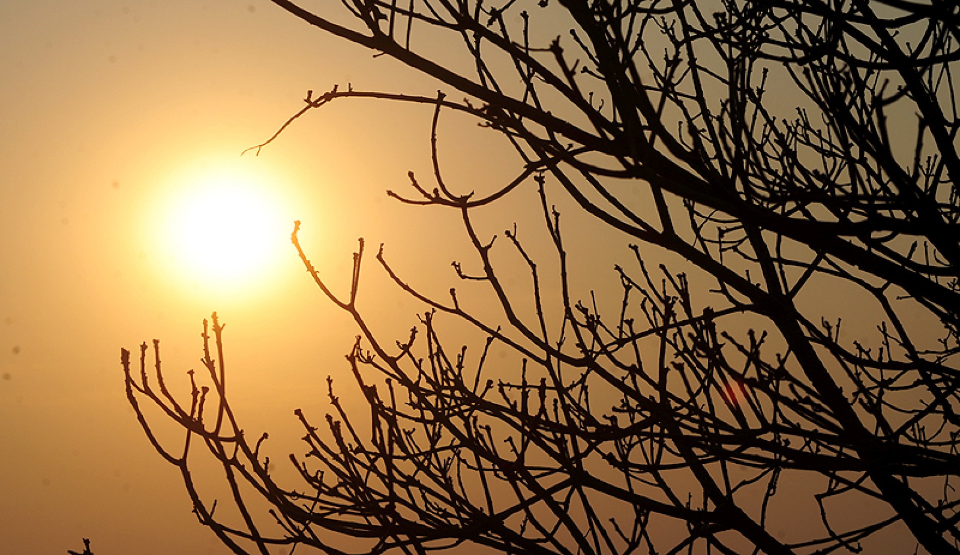 Hoje e amanhã termômetros variam entre 19ºC e 37ºC; 
na sexta, máxima será de 22ºC