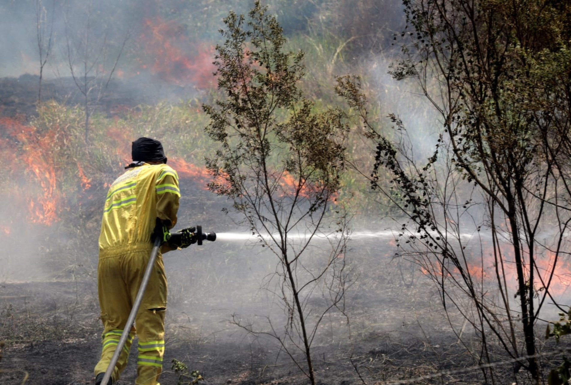 Bombeiros tentam acessar até as áreas mais dificeis 