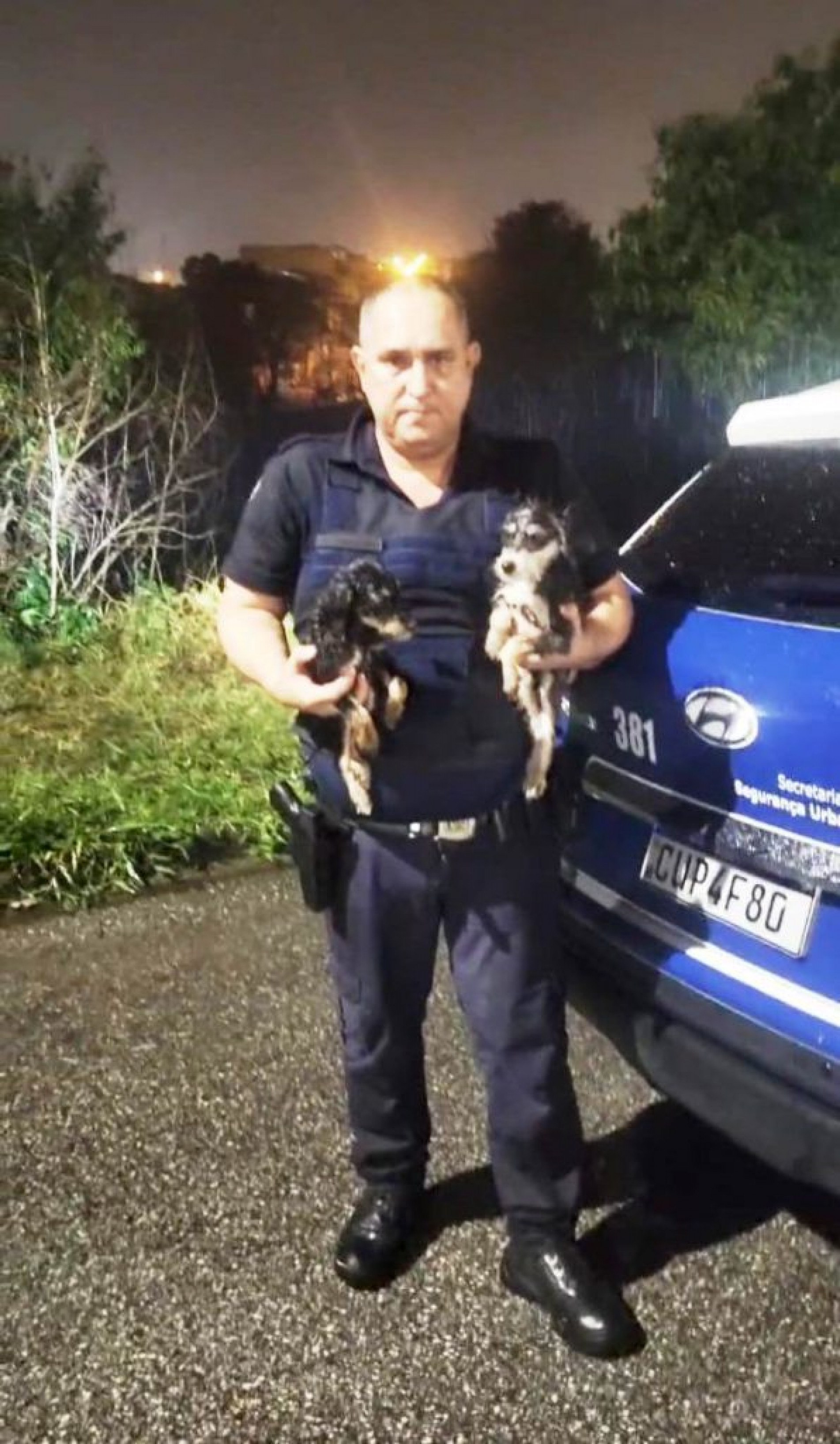 O guarda levou para casa os animais, temporariamente, para os devidos cuidados