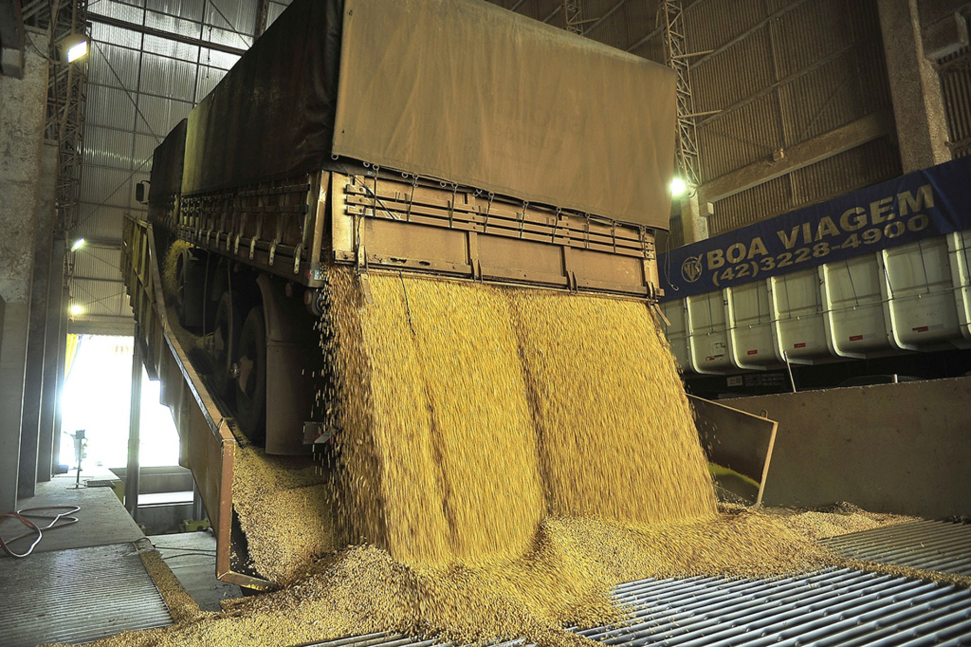 Estudo mostrou que, na soja, houve queda de 75% para 69%
