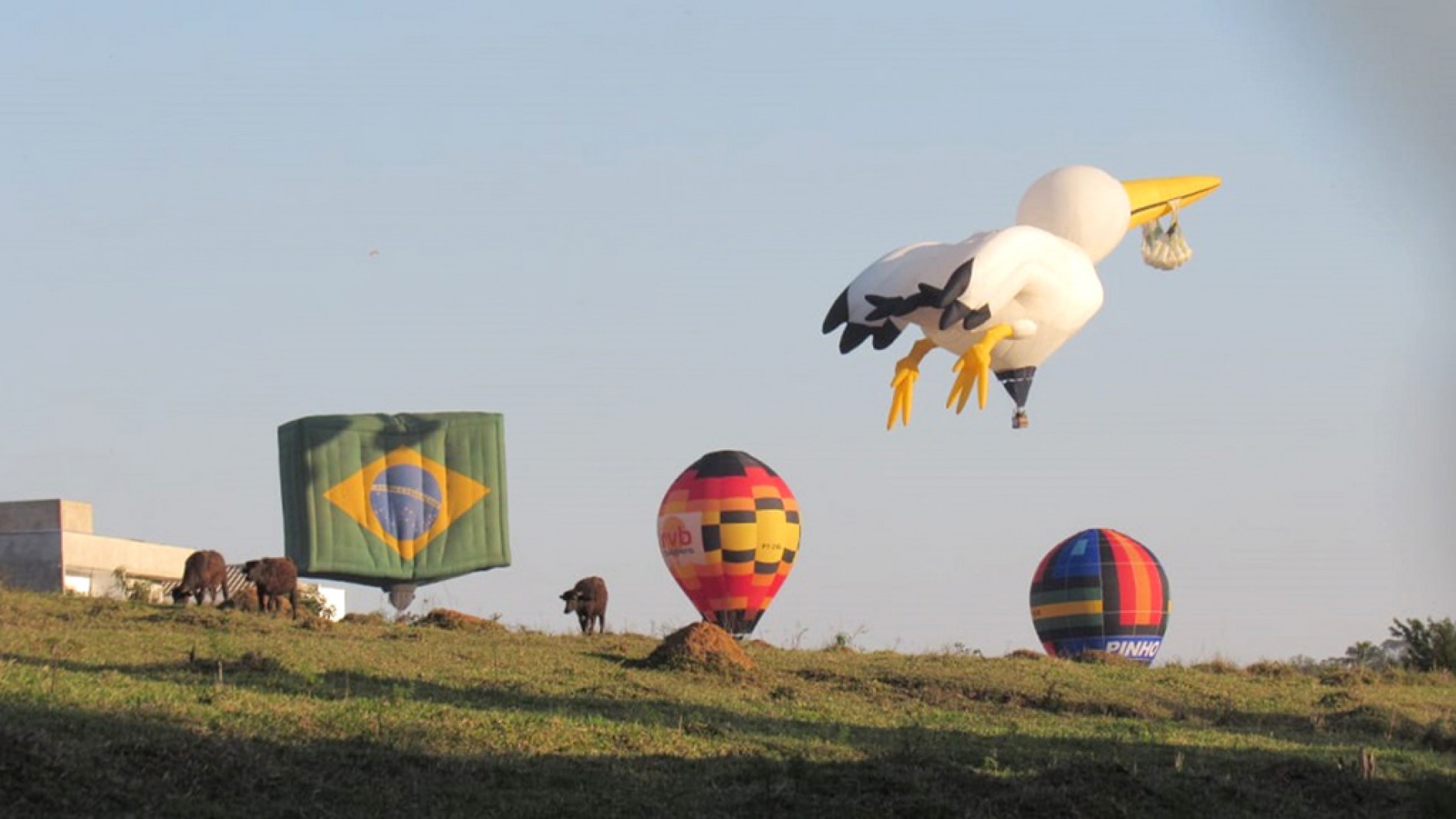 Primeira edição do evento foi realizada na cidade em 2019
