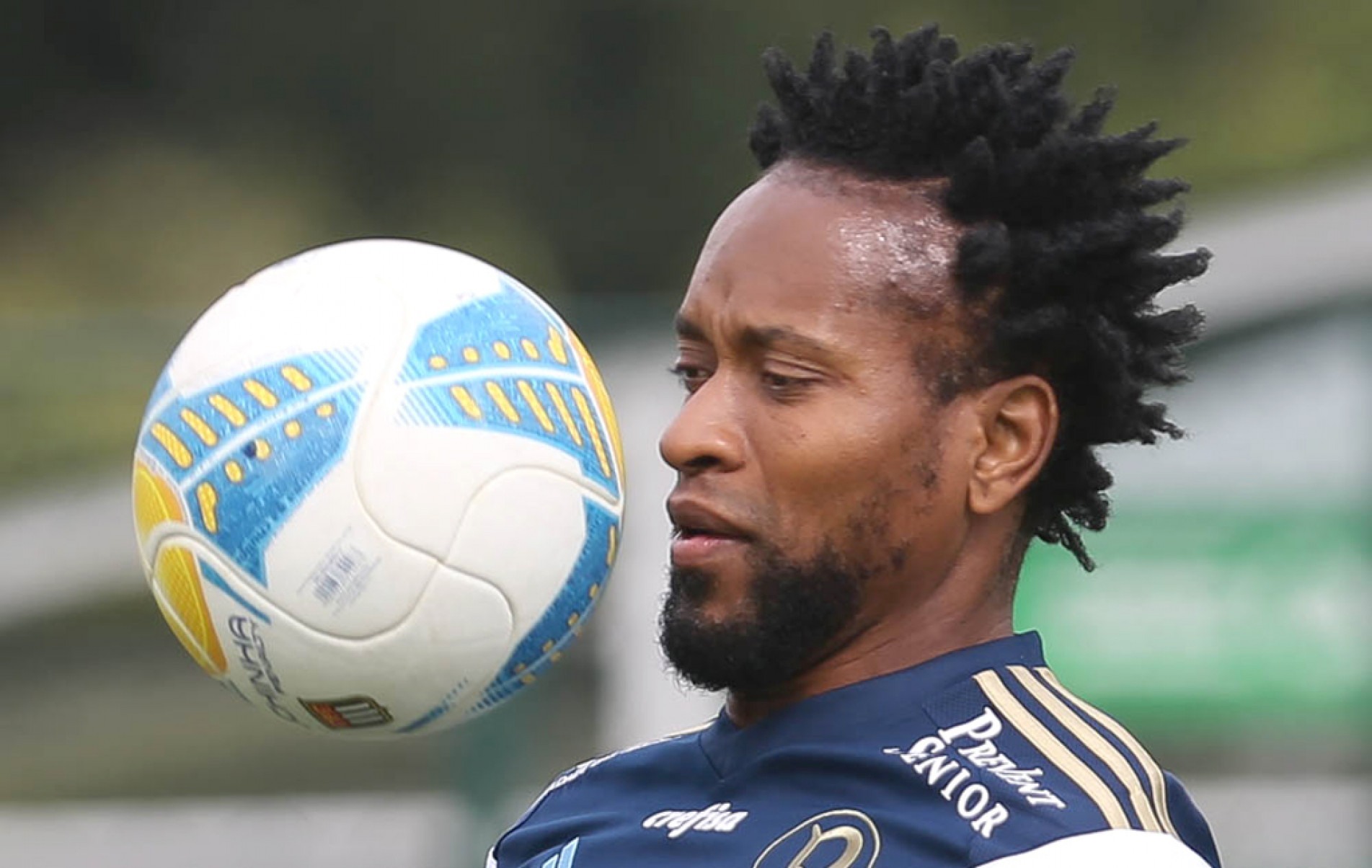 Zé Roberto, ex-jogador do Palmeiras, está envolvido nas negociações
