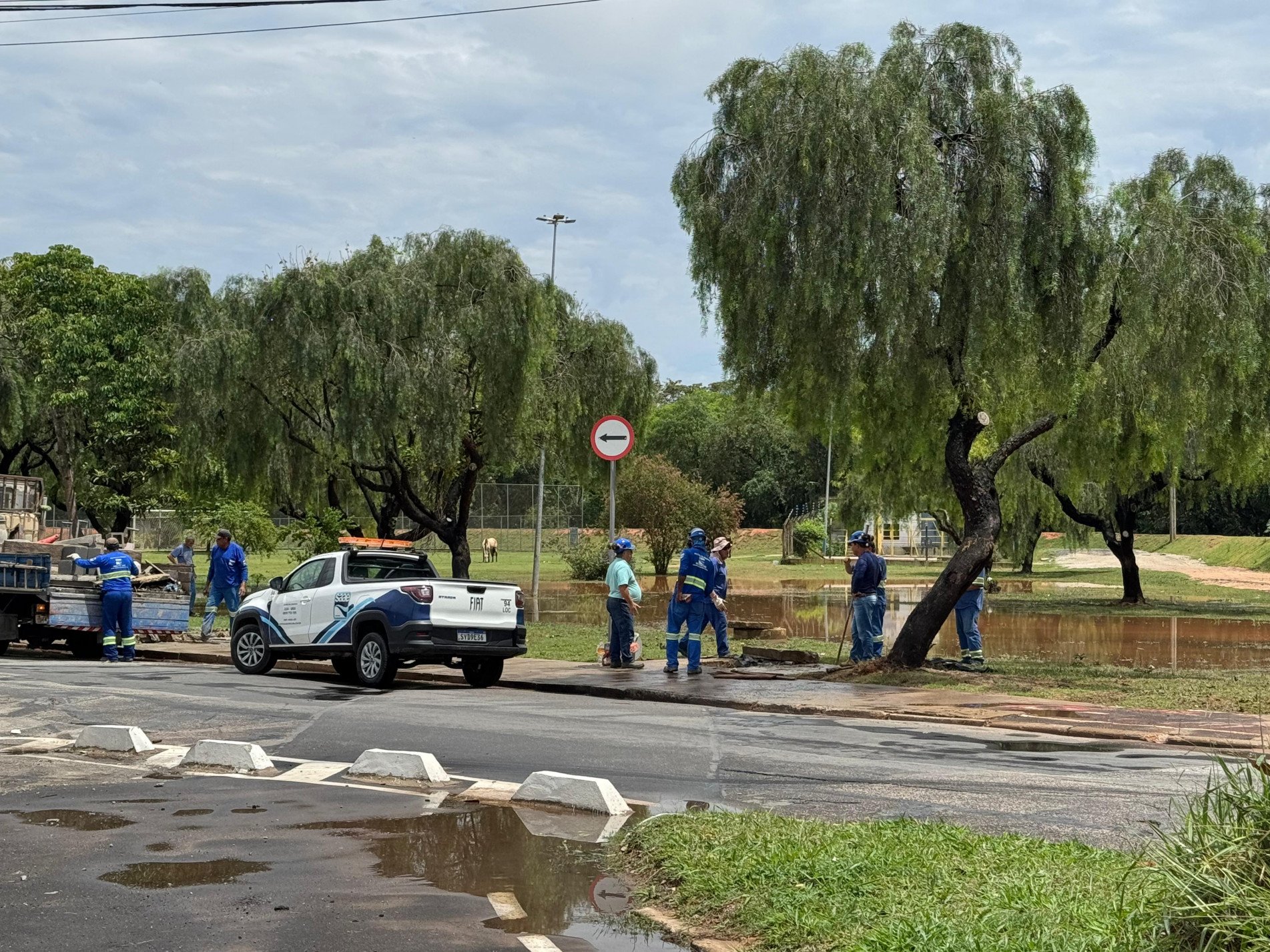 Equipes do Saae/ Sorocaba atuam na limpeza no Parque Vitória Régia