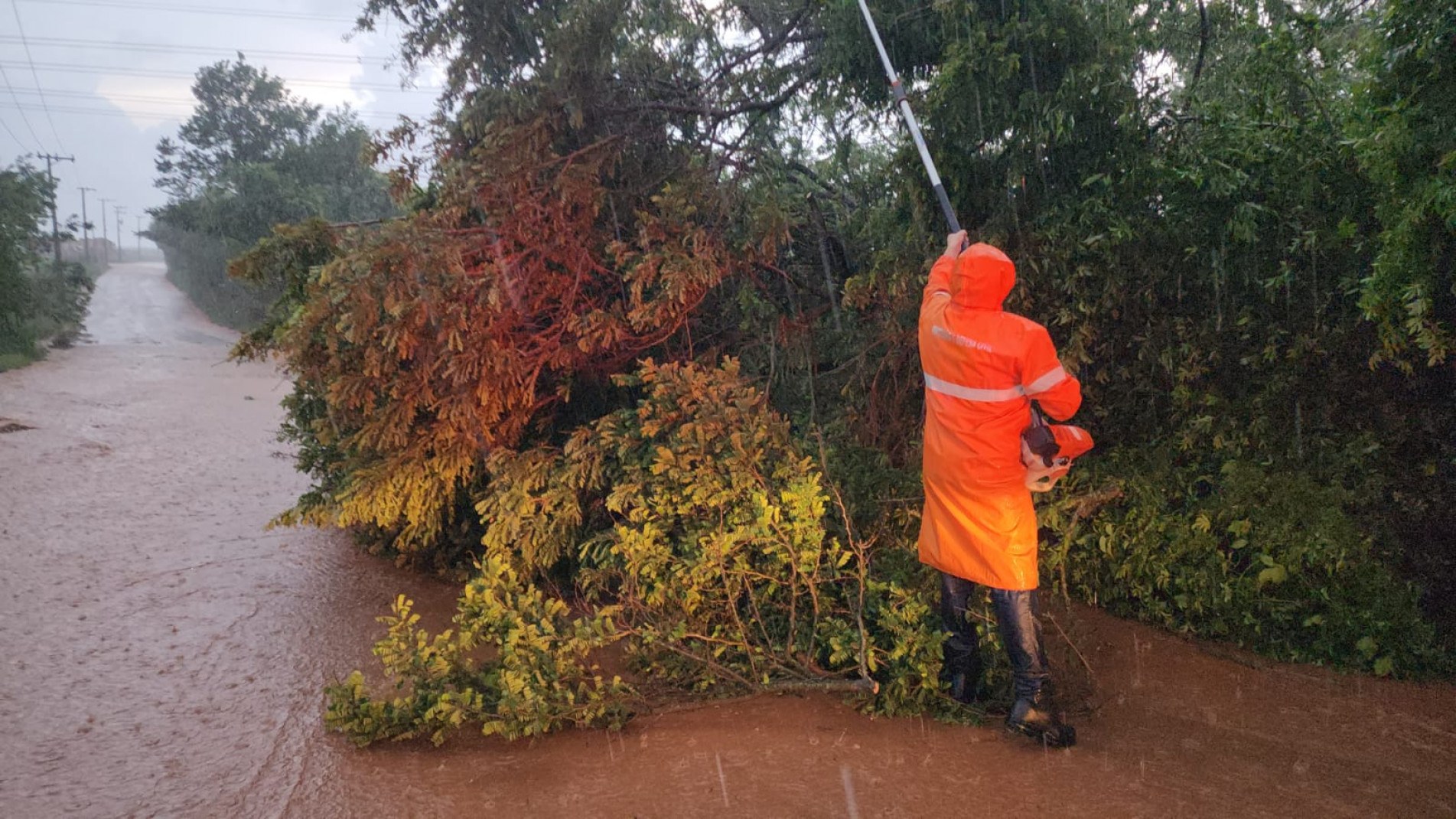 Equipes da Defesa Civil atuam nas áreas afetadas