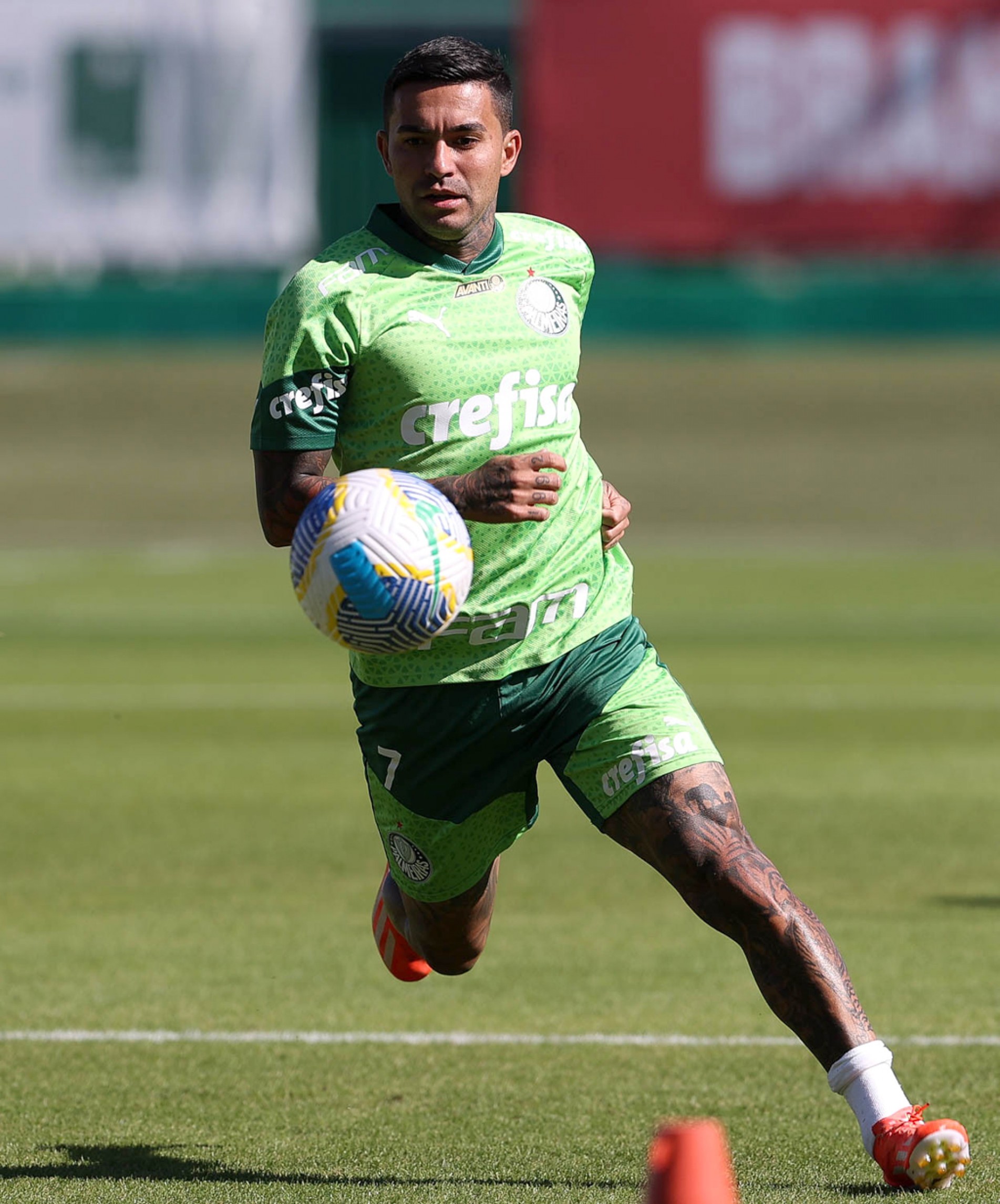 Dudu tem cada vez menos espaço no elenco que briga pelo tri