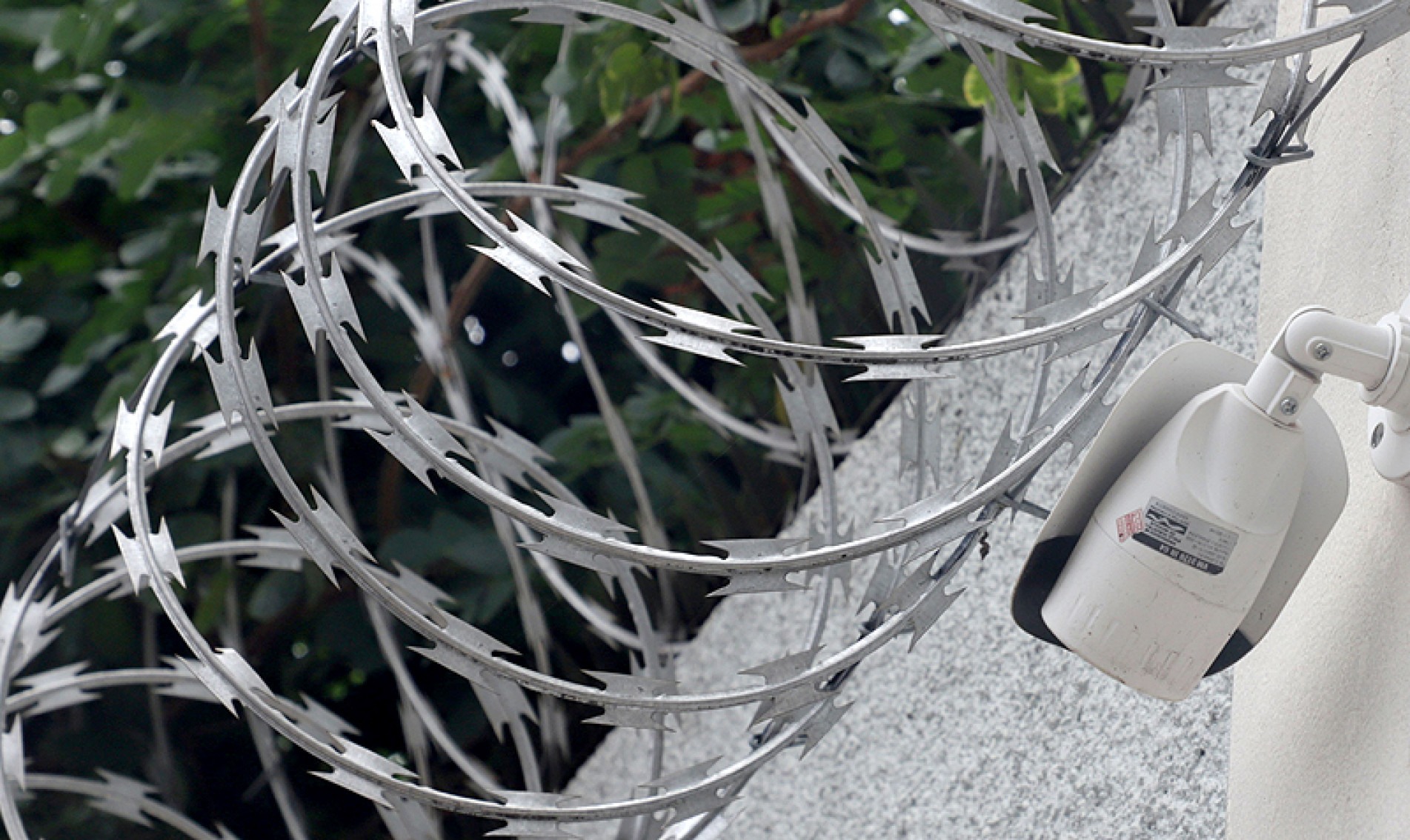 Nem mesmo a cerca elétrica e o sistema de câmeras inibem a ação dos criminosos