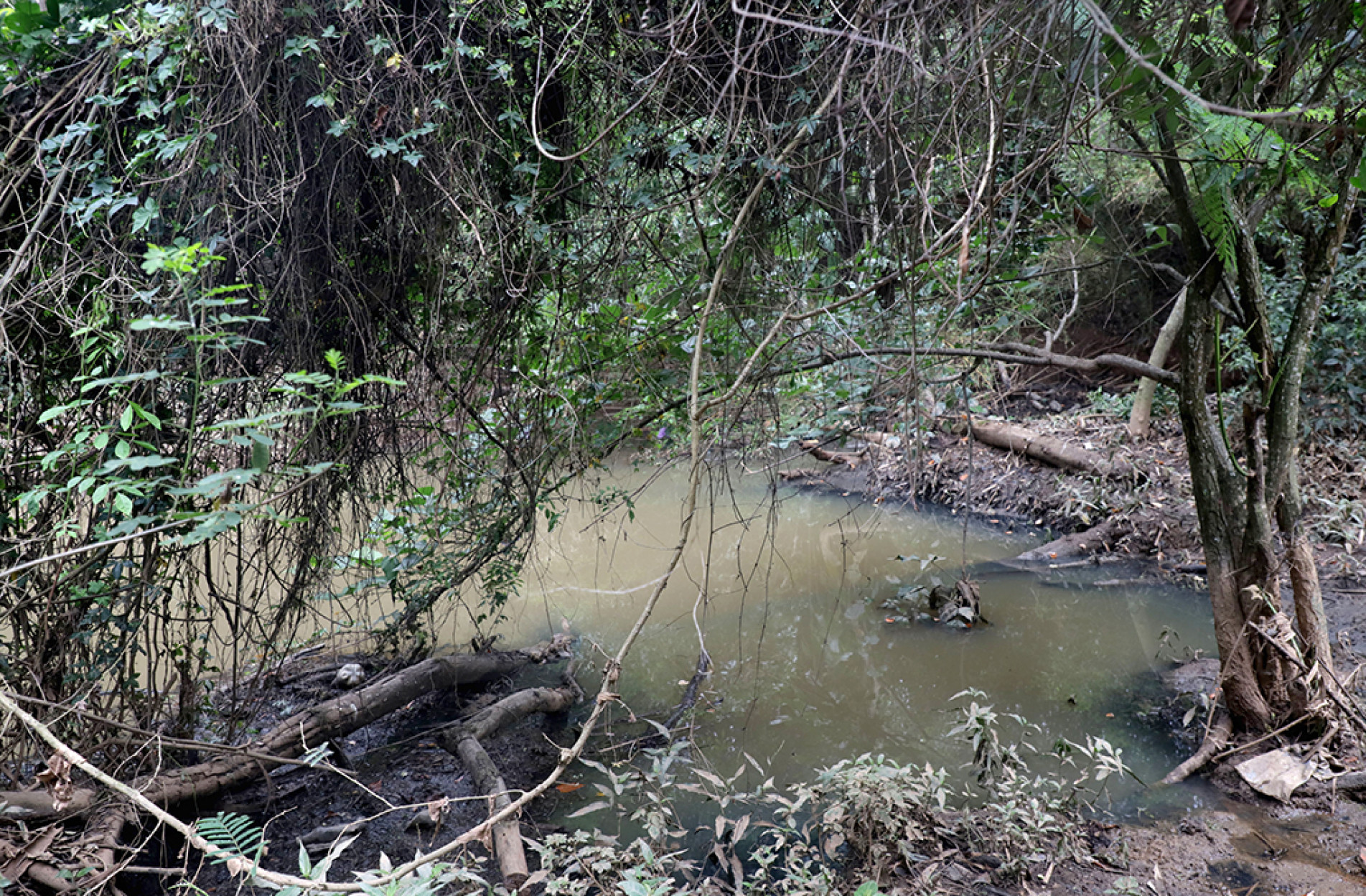 Esgoto corre a céu aberto e quando chove a situação se agrava
