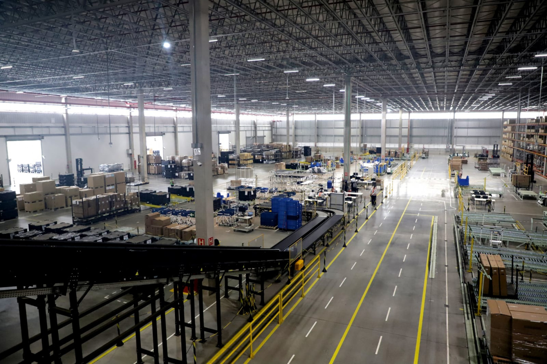 Área tem  55.000 m²