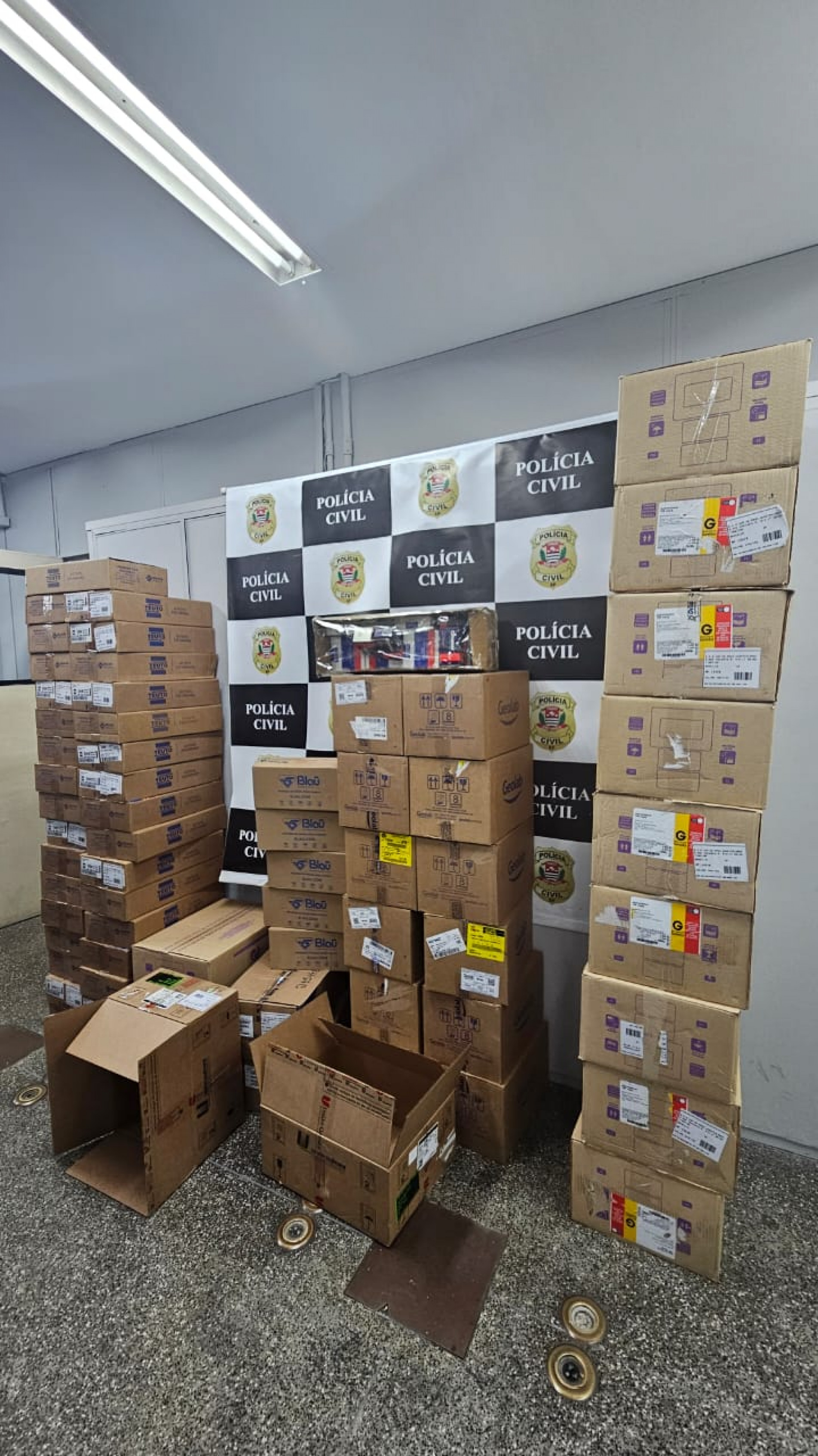 Medicamentos de origem ilícita apreendidos durante a operação do Deic. A carga, avaliada em mais de R$ 10 milhões, estava sendo comercializada ilegalmente em farmácias e clínicas.