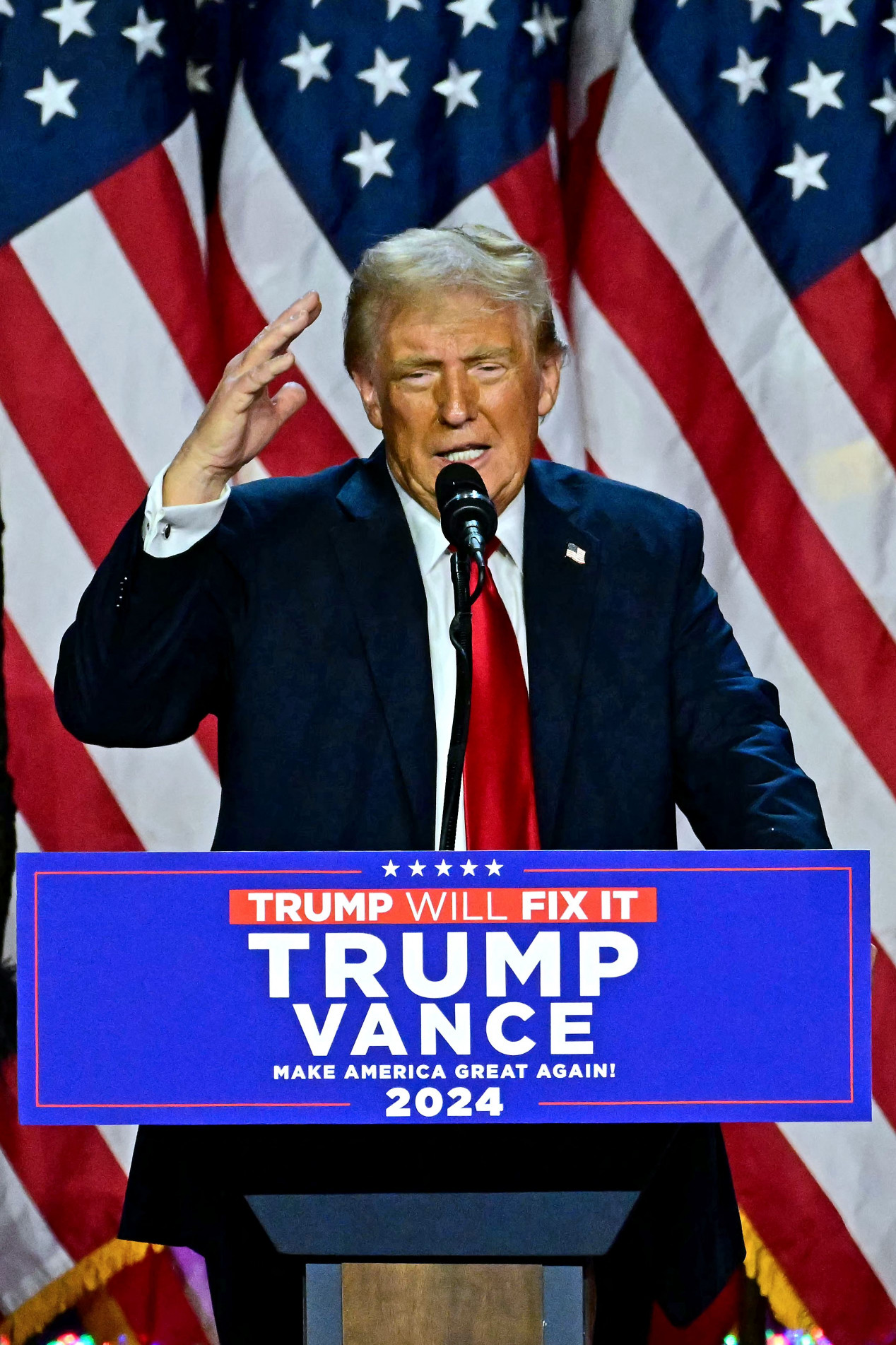  Donald Trump declara vitória e agradece eleitores