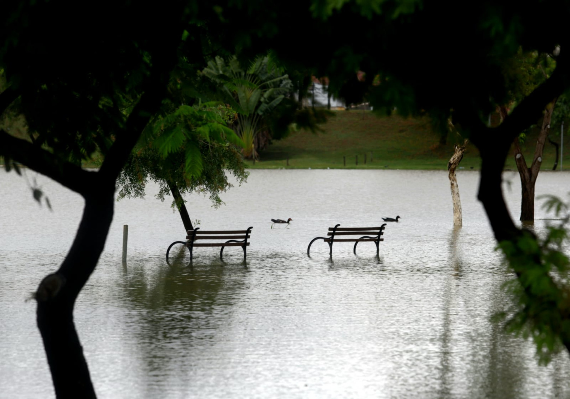 Parque das Águas está inundada 